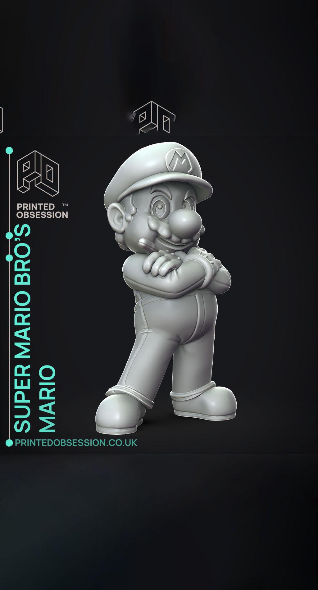 Mario - Super Mario Bros. - Fan Art 3d model