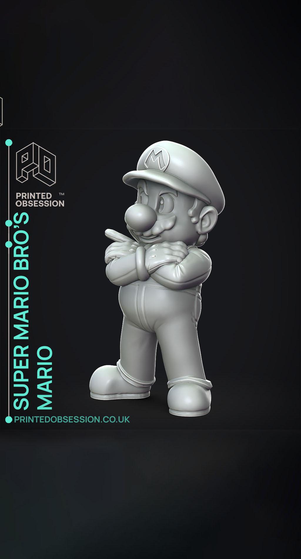 Mario - Super Mario Bros. - Fan Art 3d model