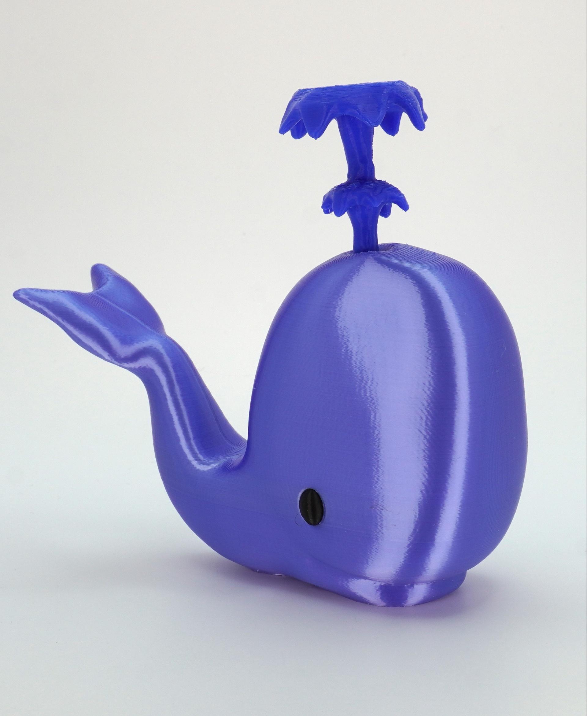 Whally the Whale 🐳 3d model