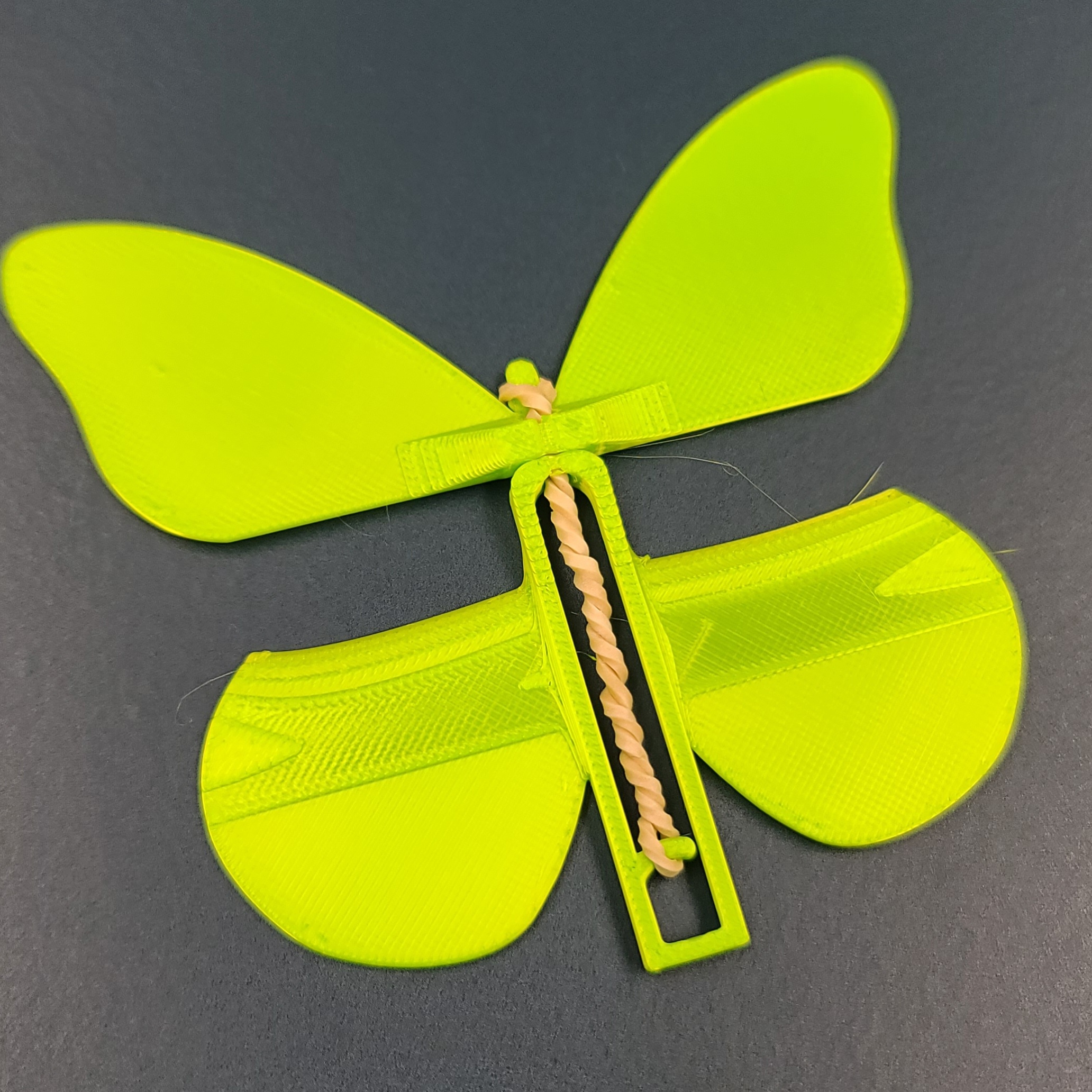 Butter-Fly Flippers!  3d model