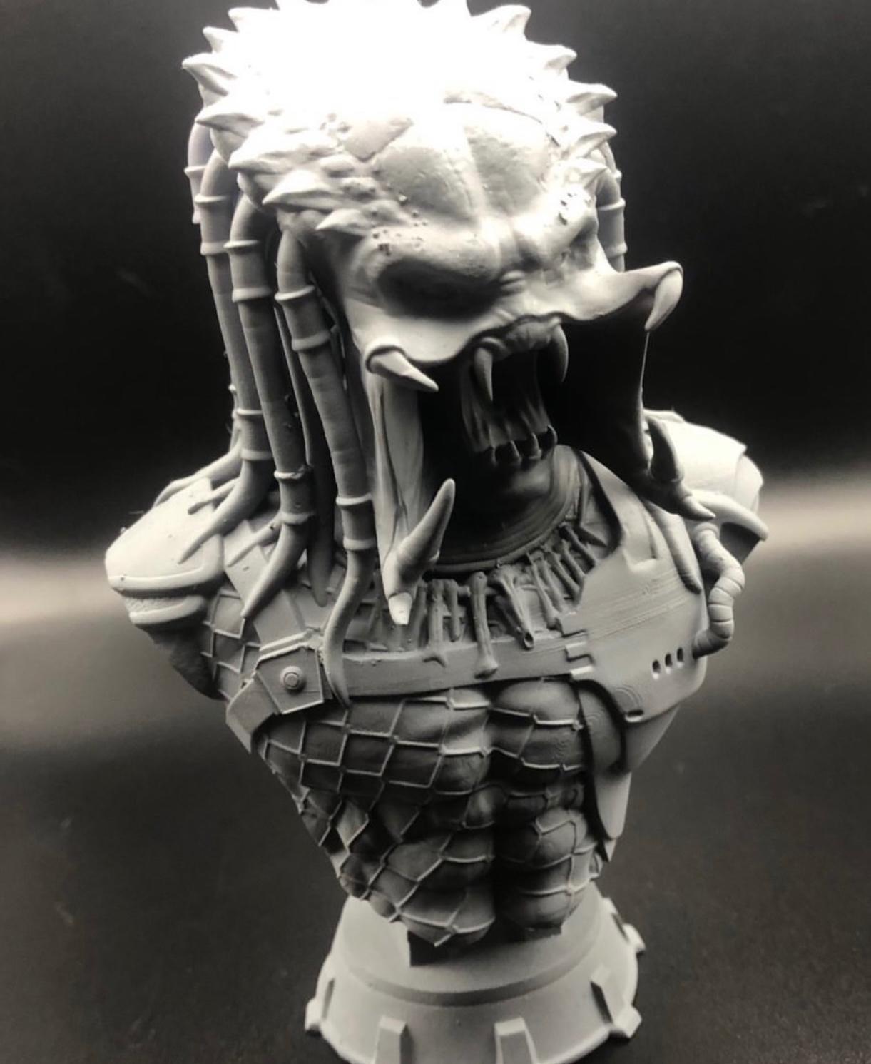 Predator Bust (Pre 3d model