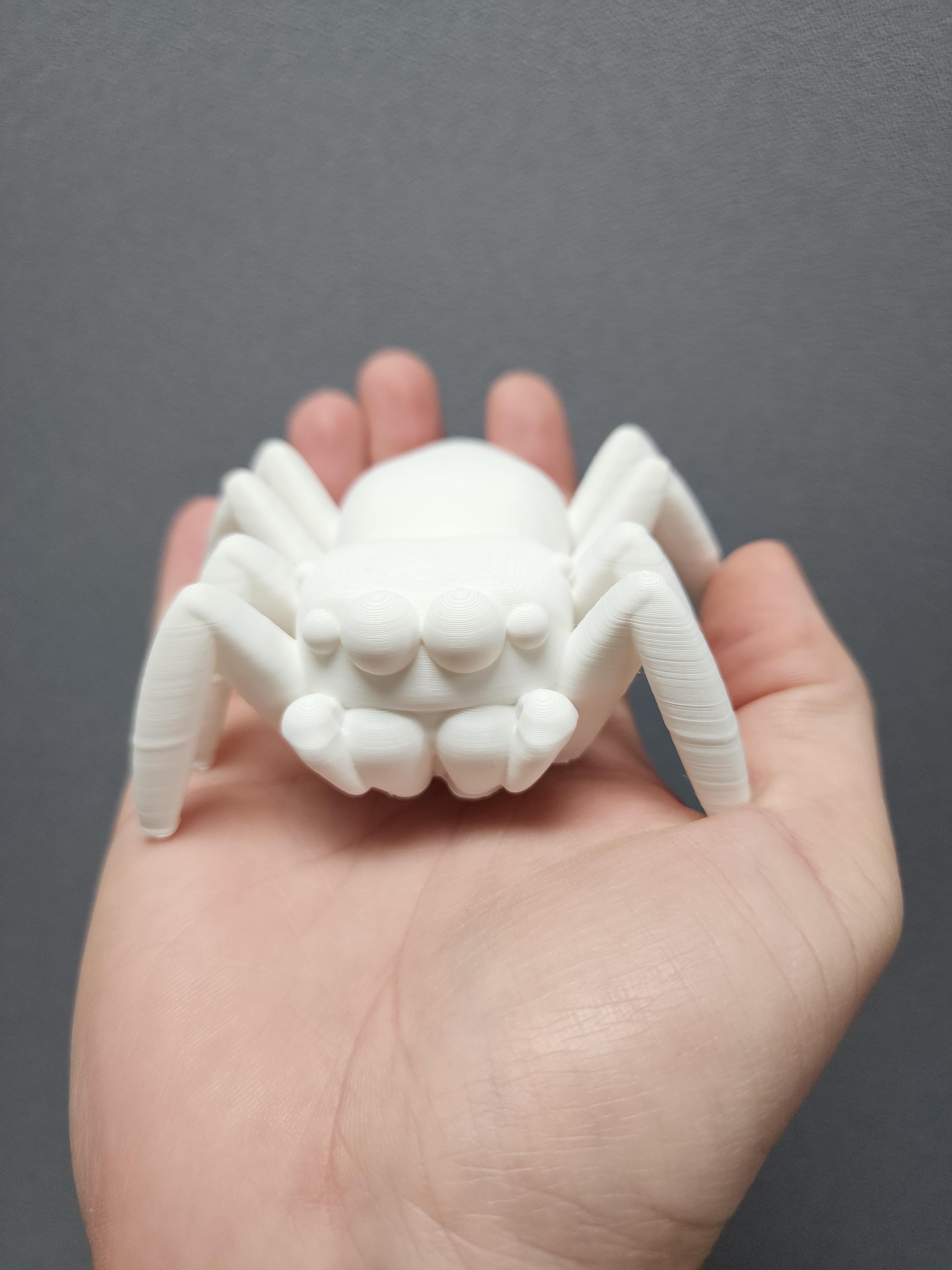 Jumping Spider Version 1 3d model