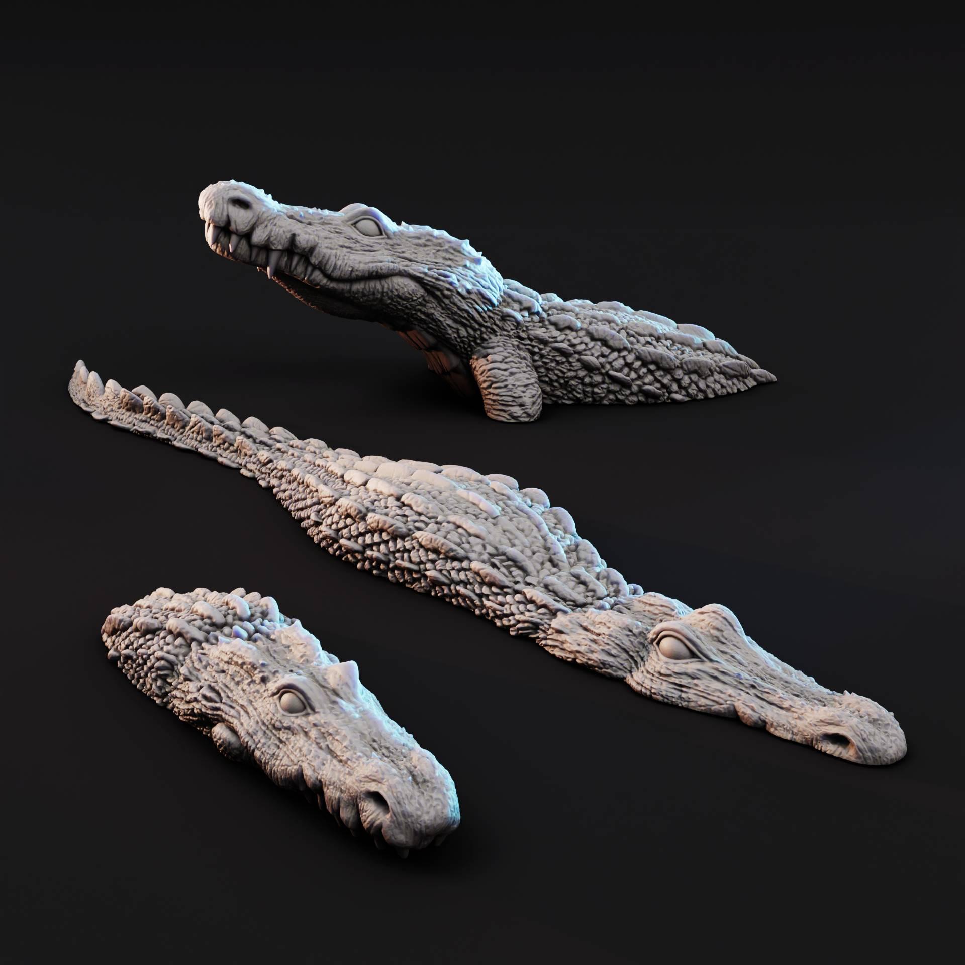 Submerged Gators | Alligator, crocodiler RPG Creature 3d model