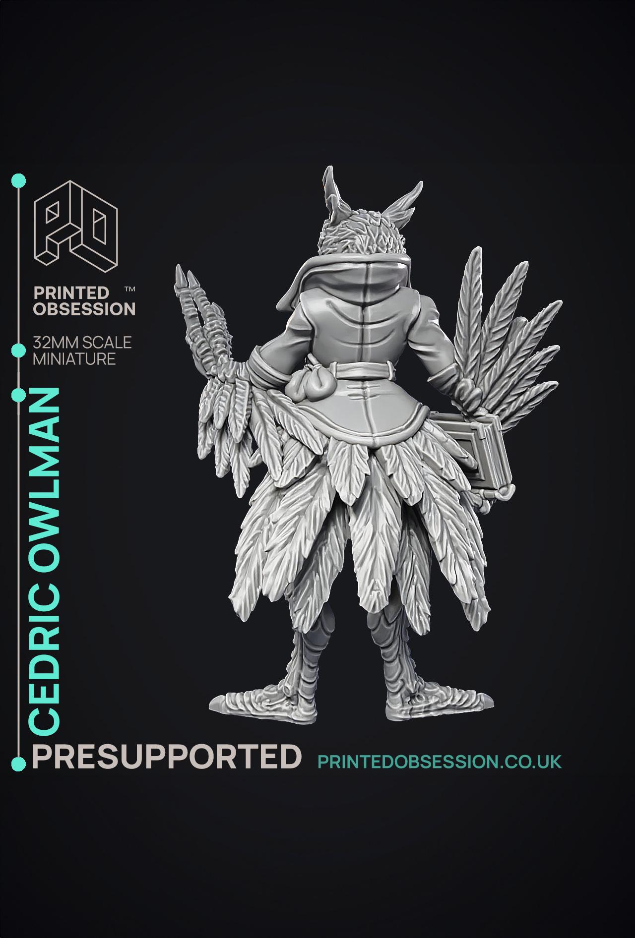 Owlman - Frindly NPC - Cryptids of the Darkwoods - PRESUPPORTED - Illustrated and Stats - 32mm scale 3d model