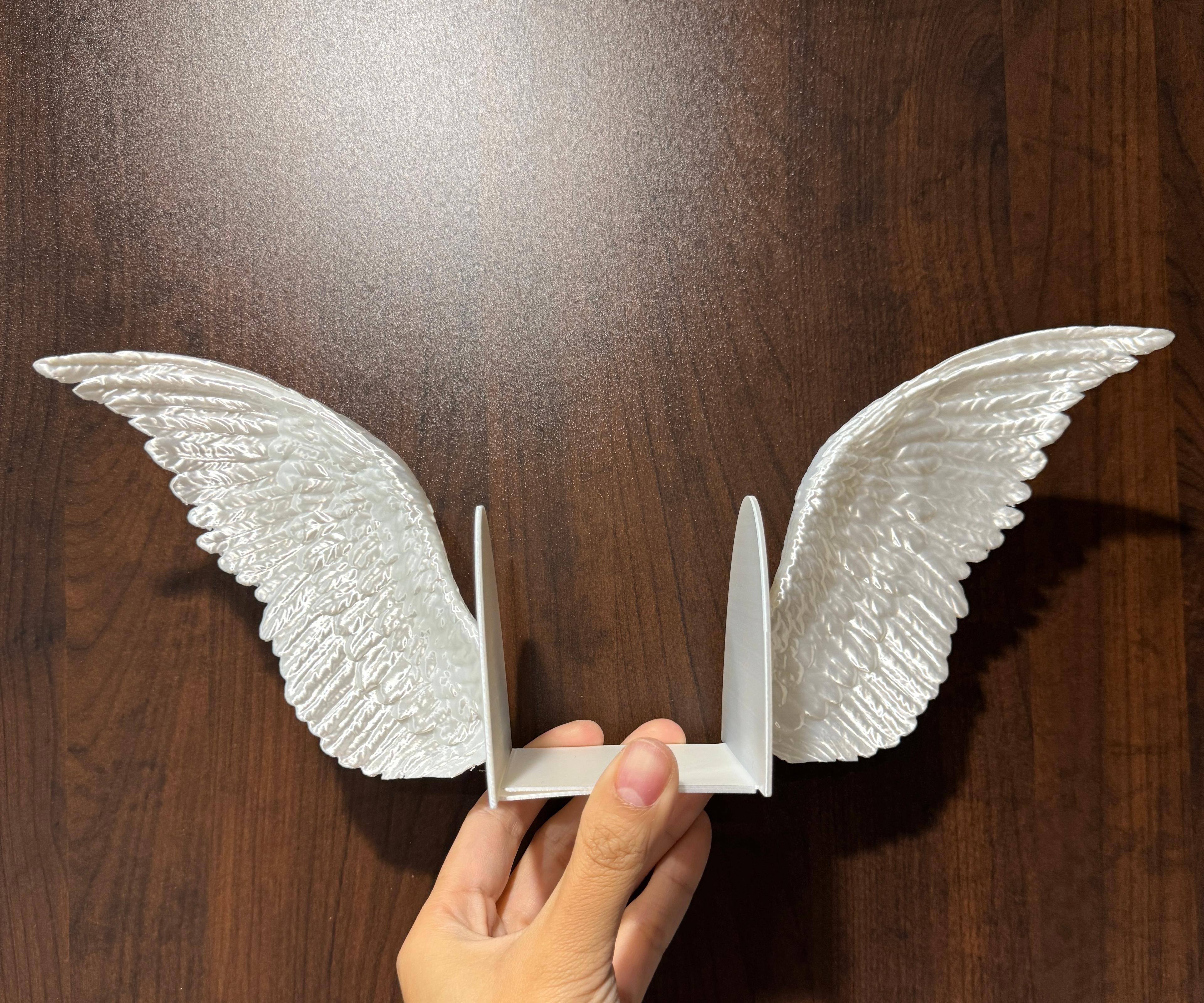 Angel Wings Bookends 3d model