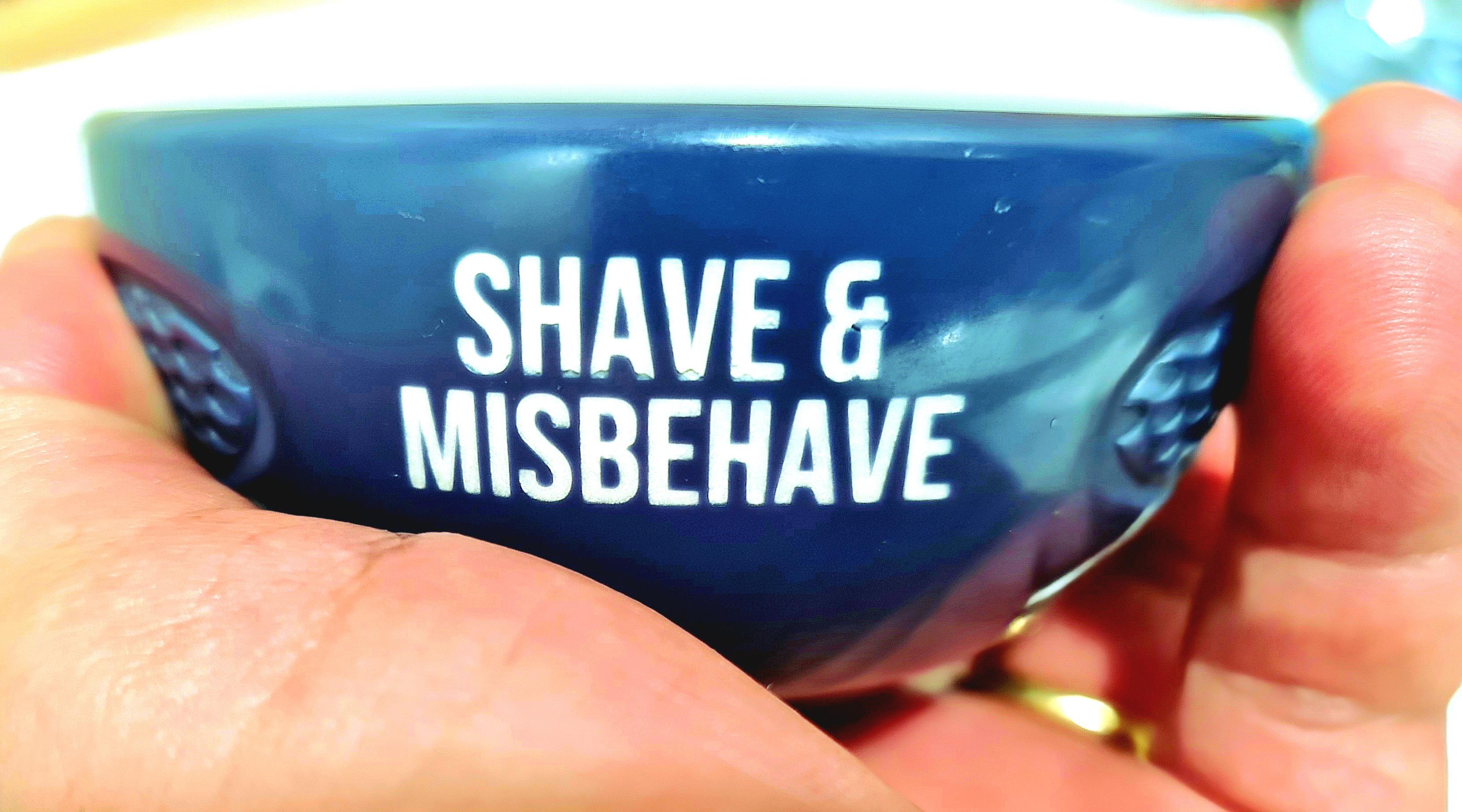 Shave & Misbehave II 3d model