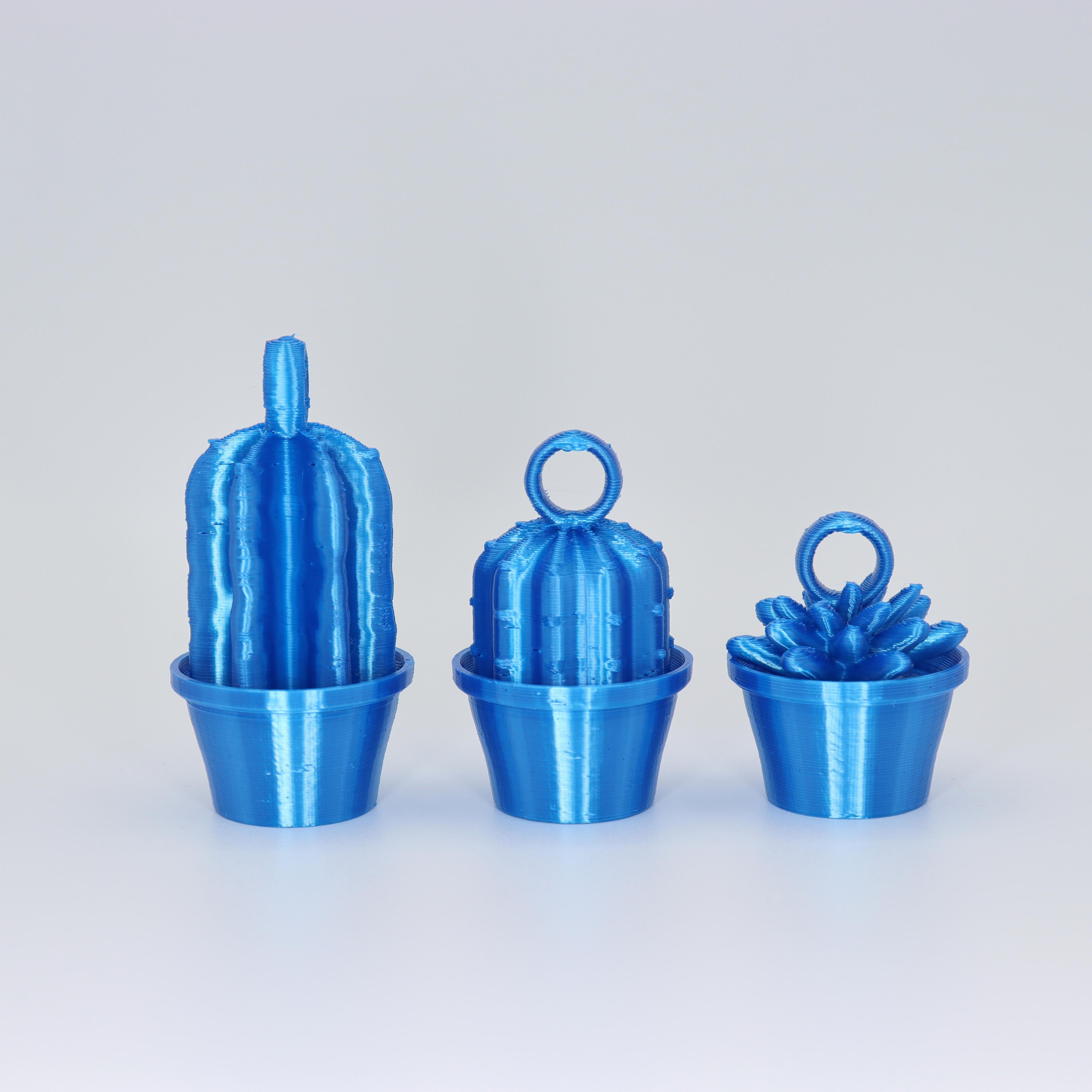 Cactus Keyrings 3d model