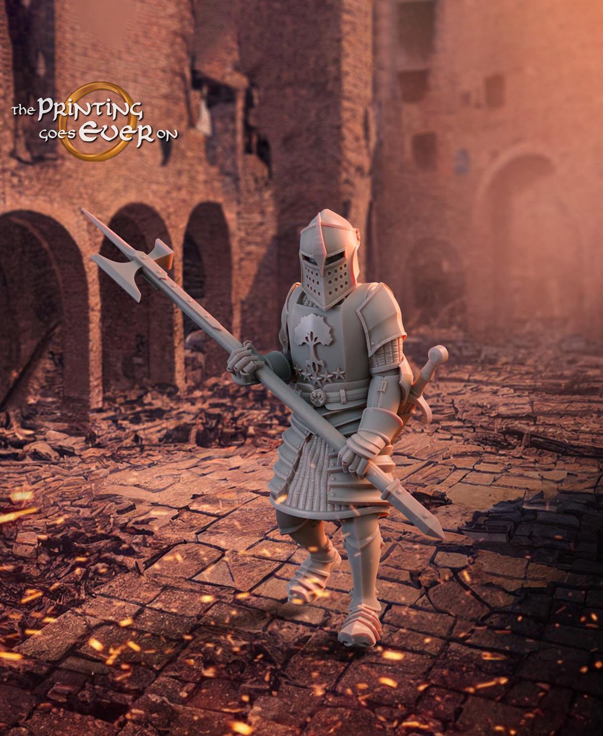 Man at Arms - Pose A 3d model