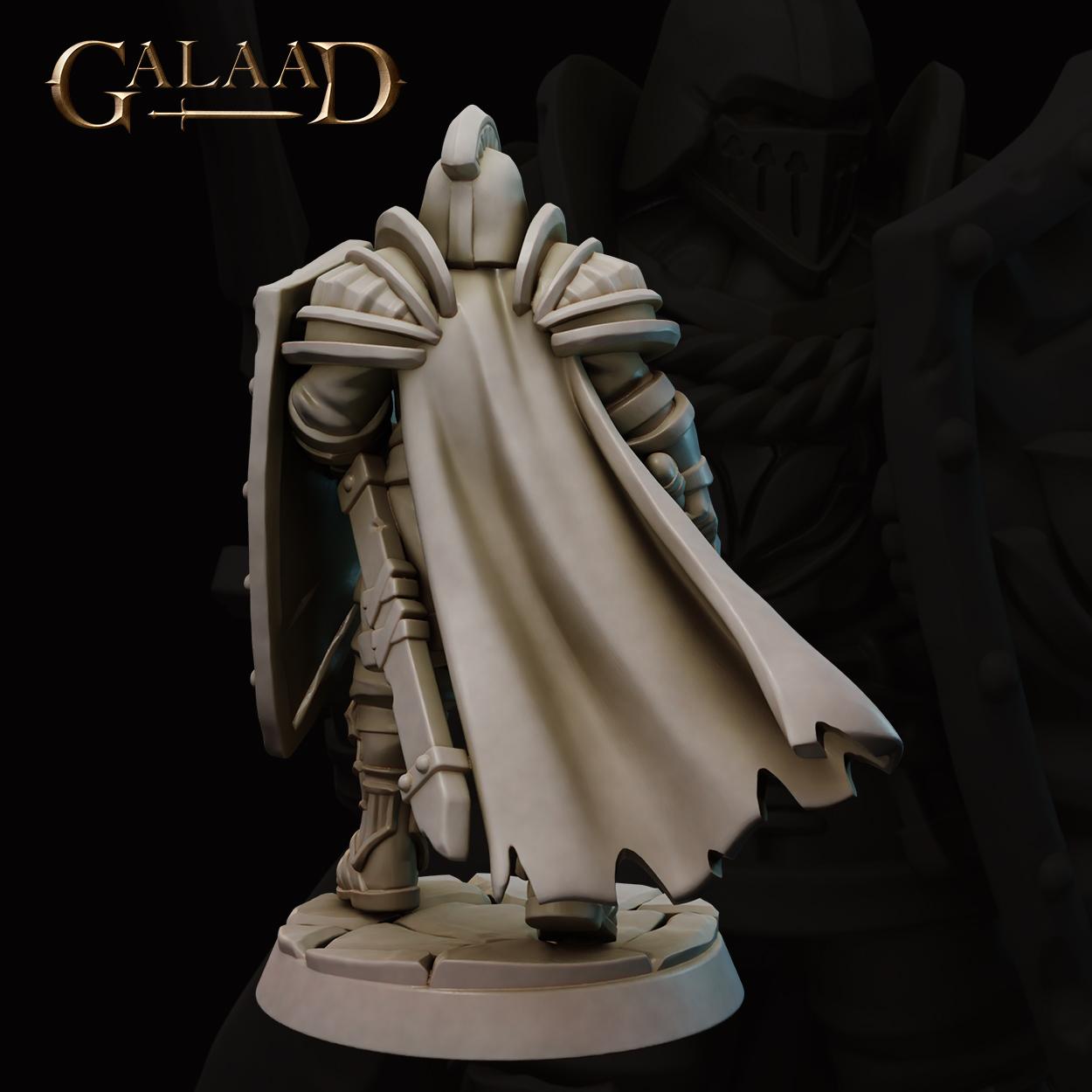 Queen's Knight 01 3d model