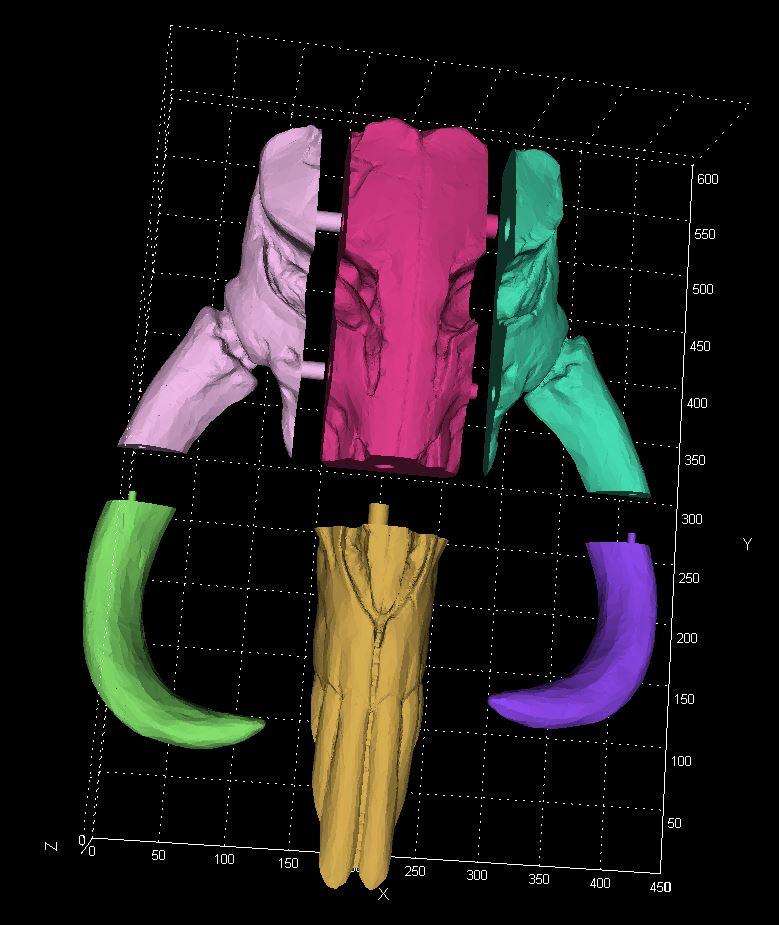 Super Sized Mandalorian Mythosaur 3d model