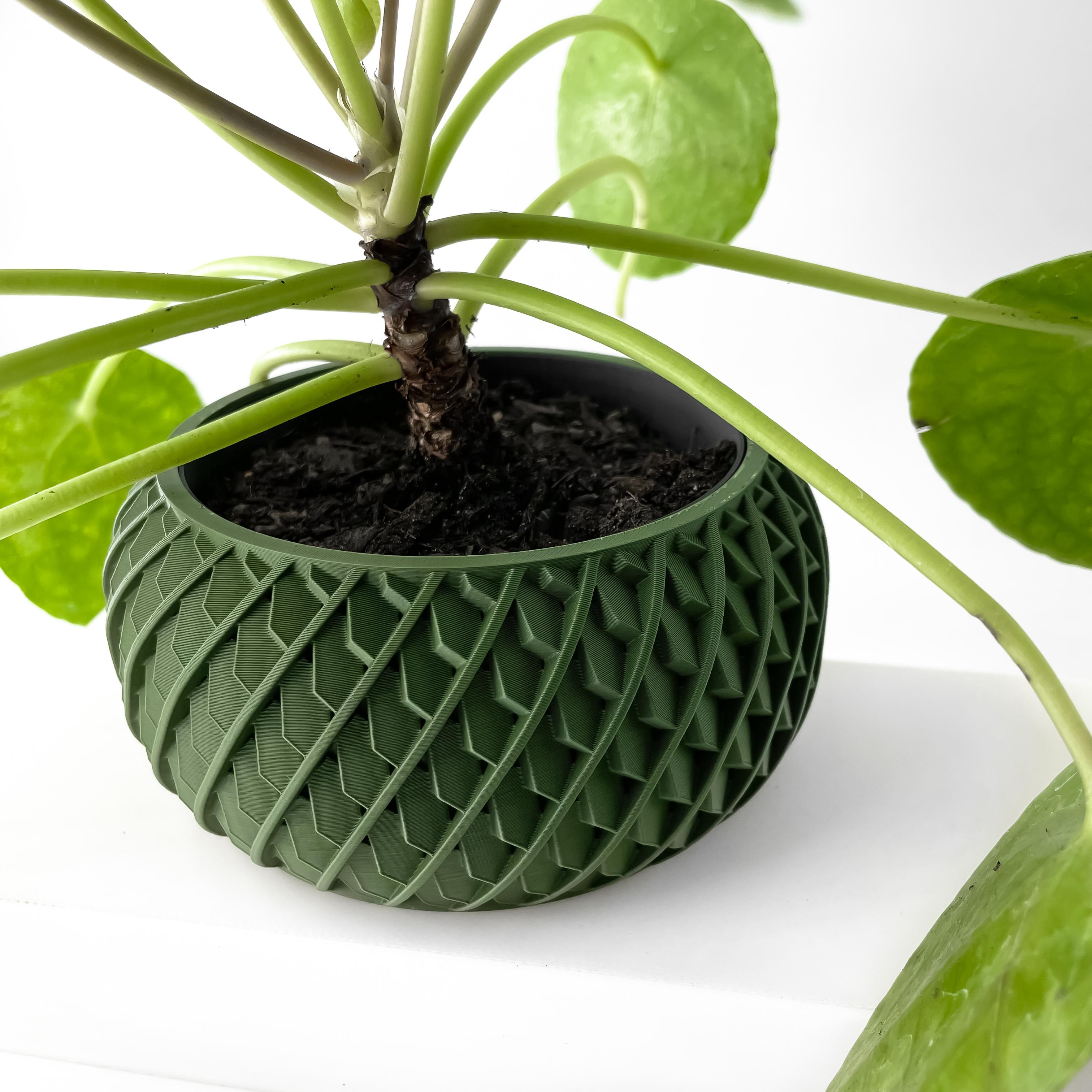 The Evlar Planter Pot with Drainage Tray & Stand Included | Modern and Unique Home Decor 3d model