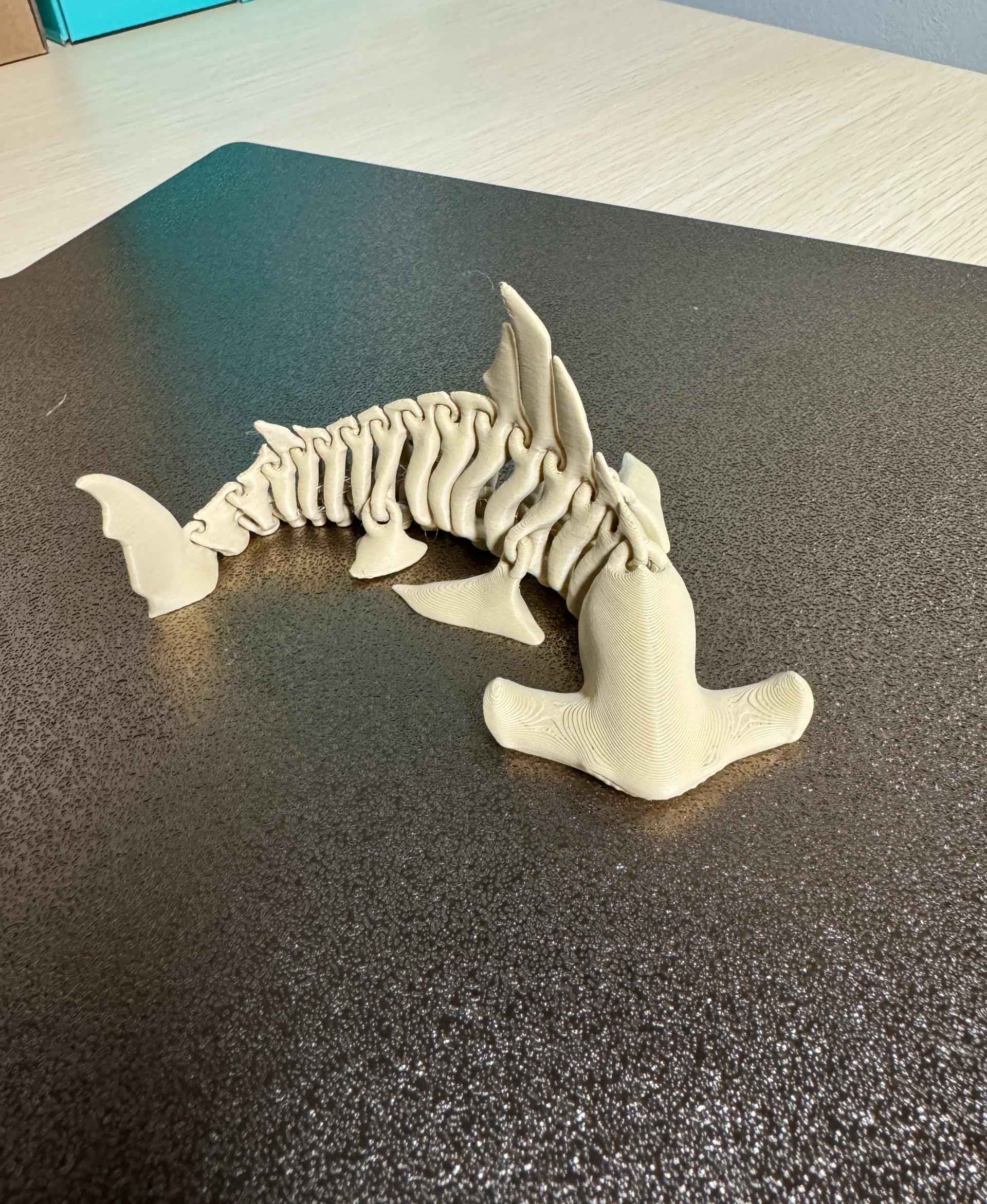 Hammerhead  Shark  Bones - 50% scaled print on Bambu P1S using Bambu Basic PLA - all the bits move as they should - 3d model