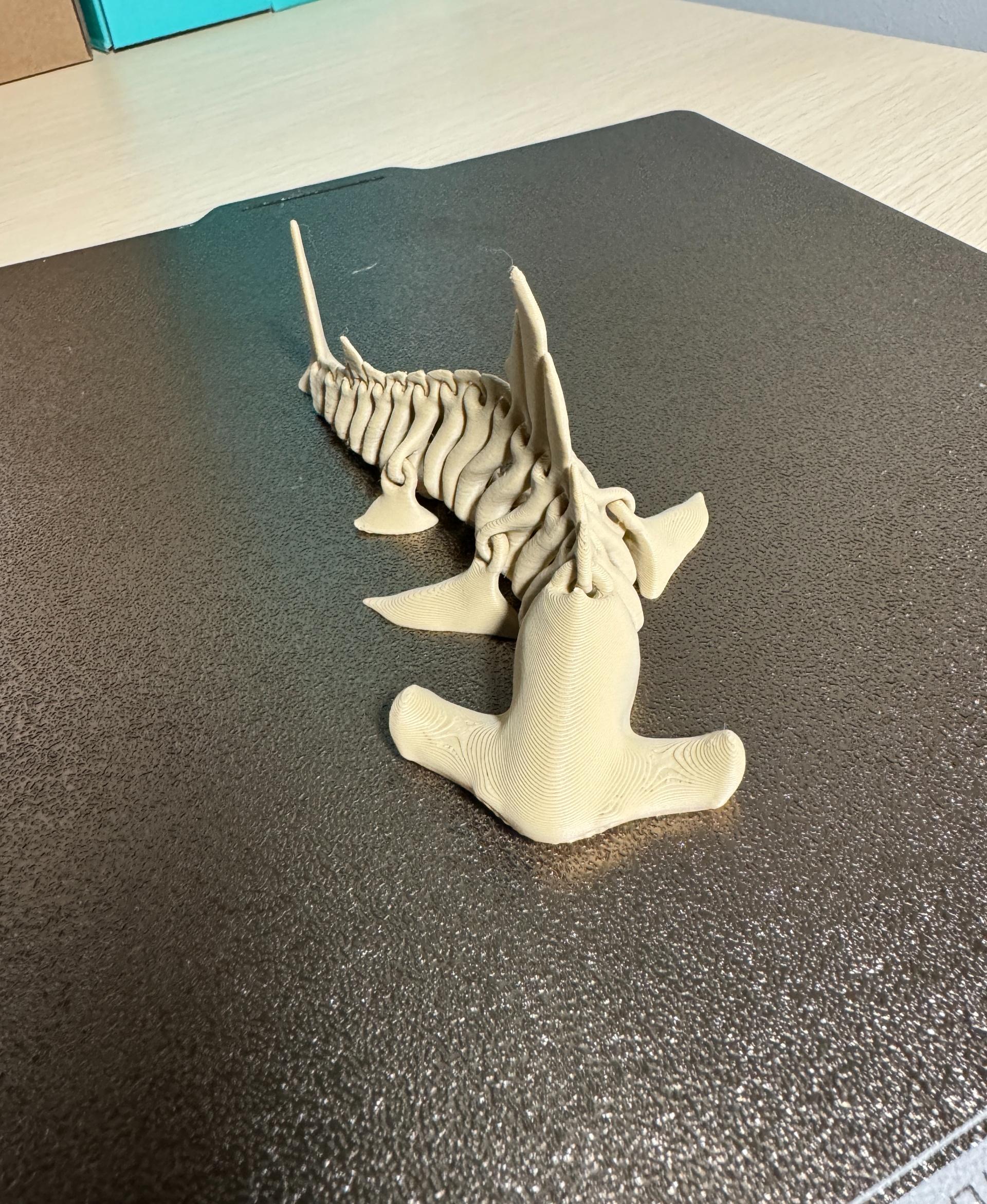 Hammerhead  Shark  Bones - 50% scaled print on Bambu P1S using Bambu Basic PLA - all the bits move as they should - 3d model