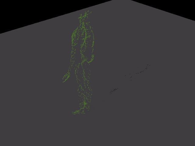 Sistema linfático 3d model