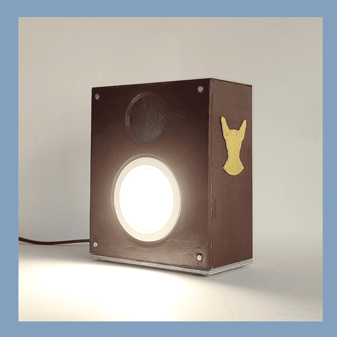 Speaker Lamp #Junetunes 3d model