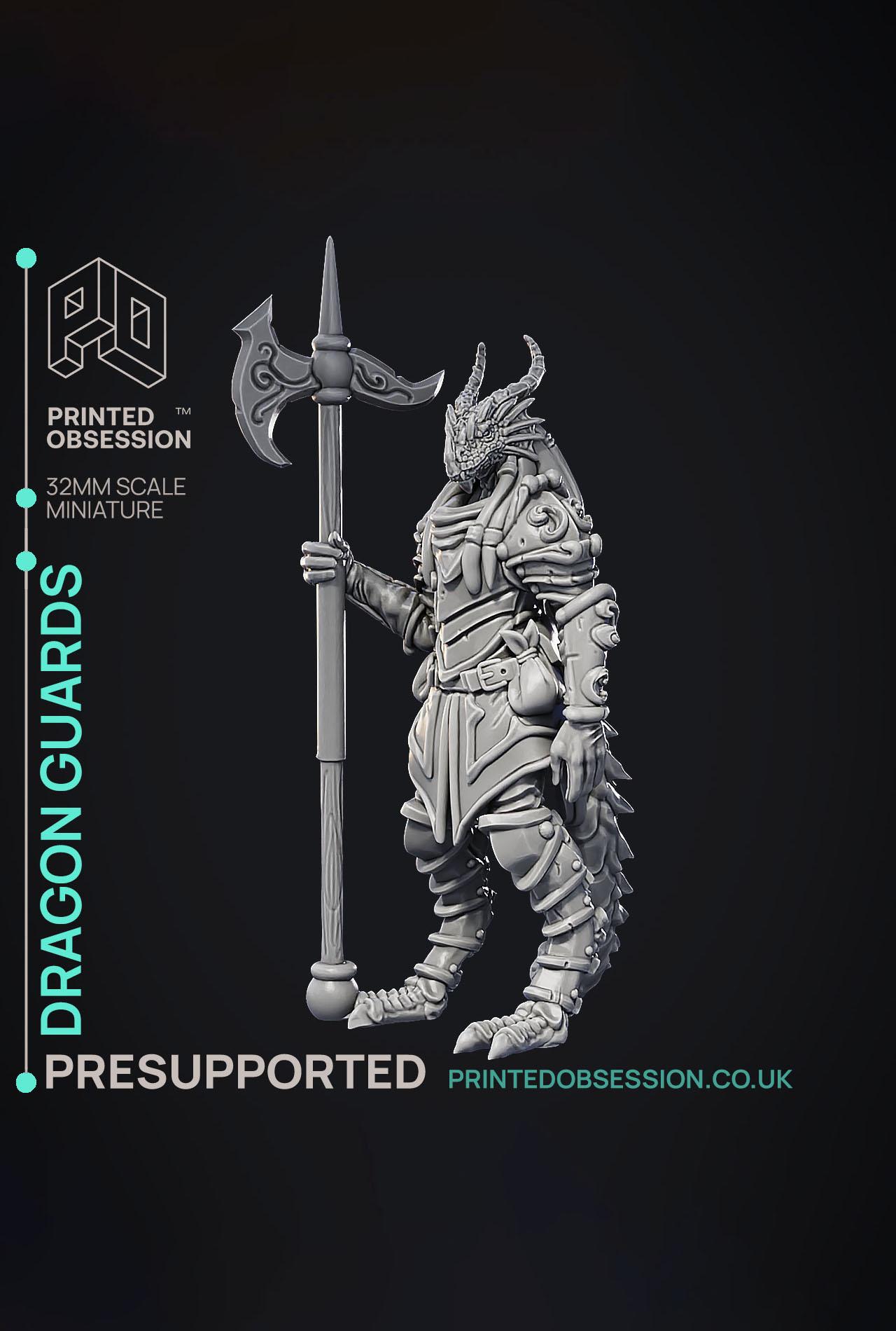 Dragonborn Guard - 3 Models -  PRESUPPORTED - Illustrated and Stats - 32mm scale 3d model