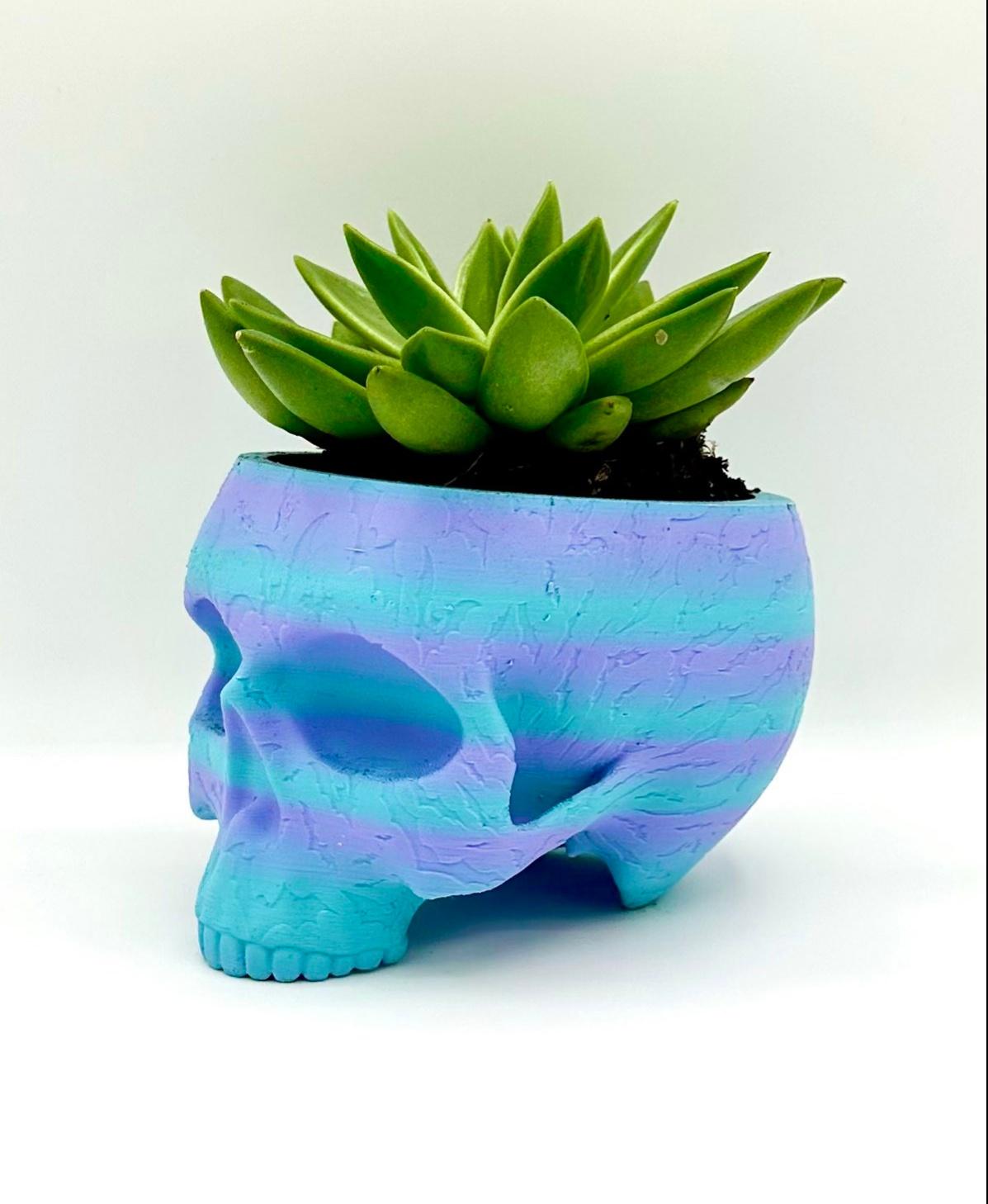 Bat Skull Planter 3d model