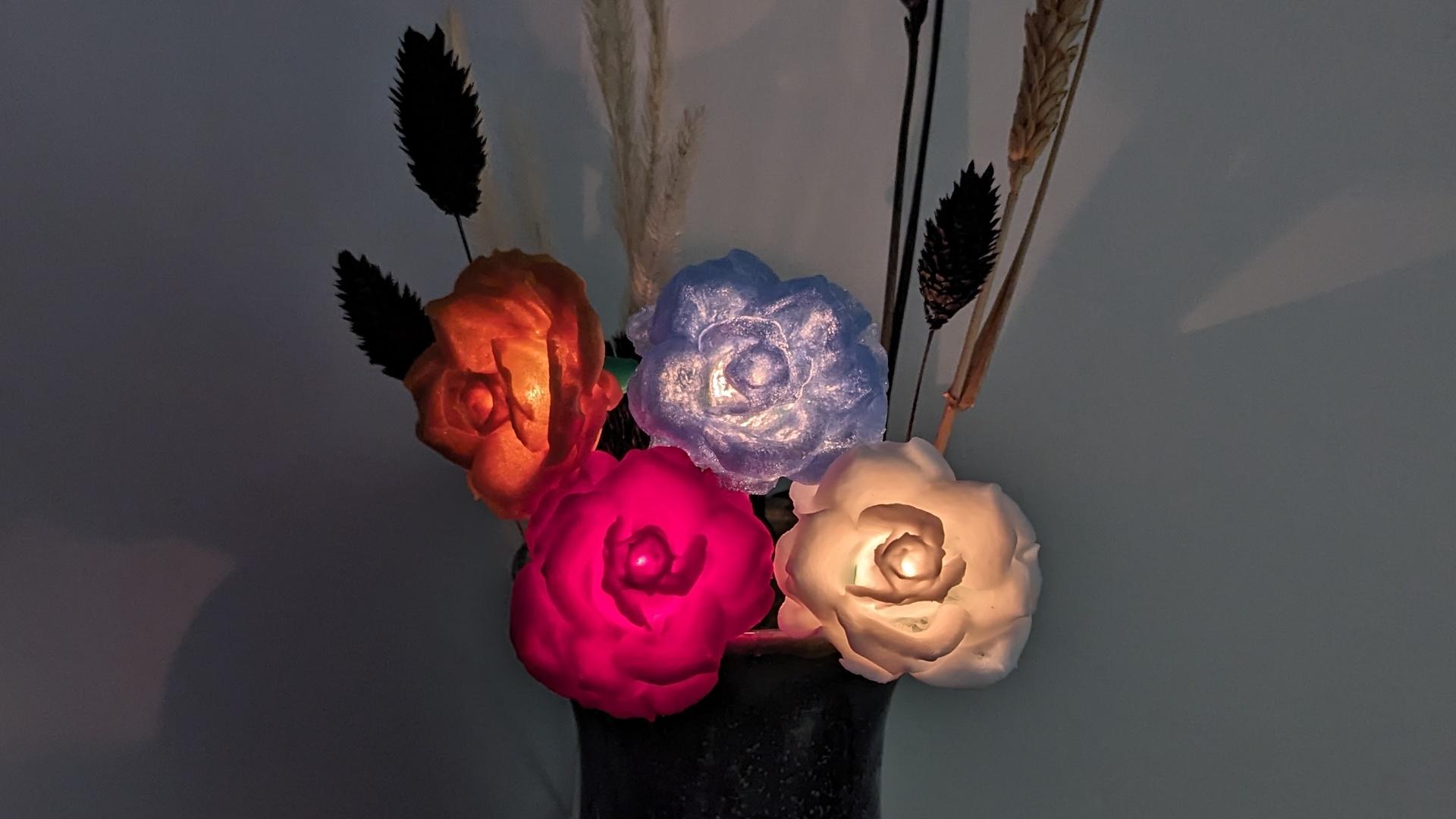 Rose Lights - clip on fairy light covers 3d model