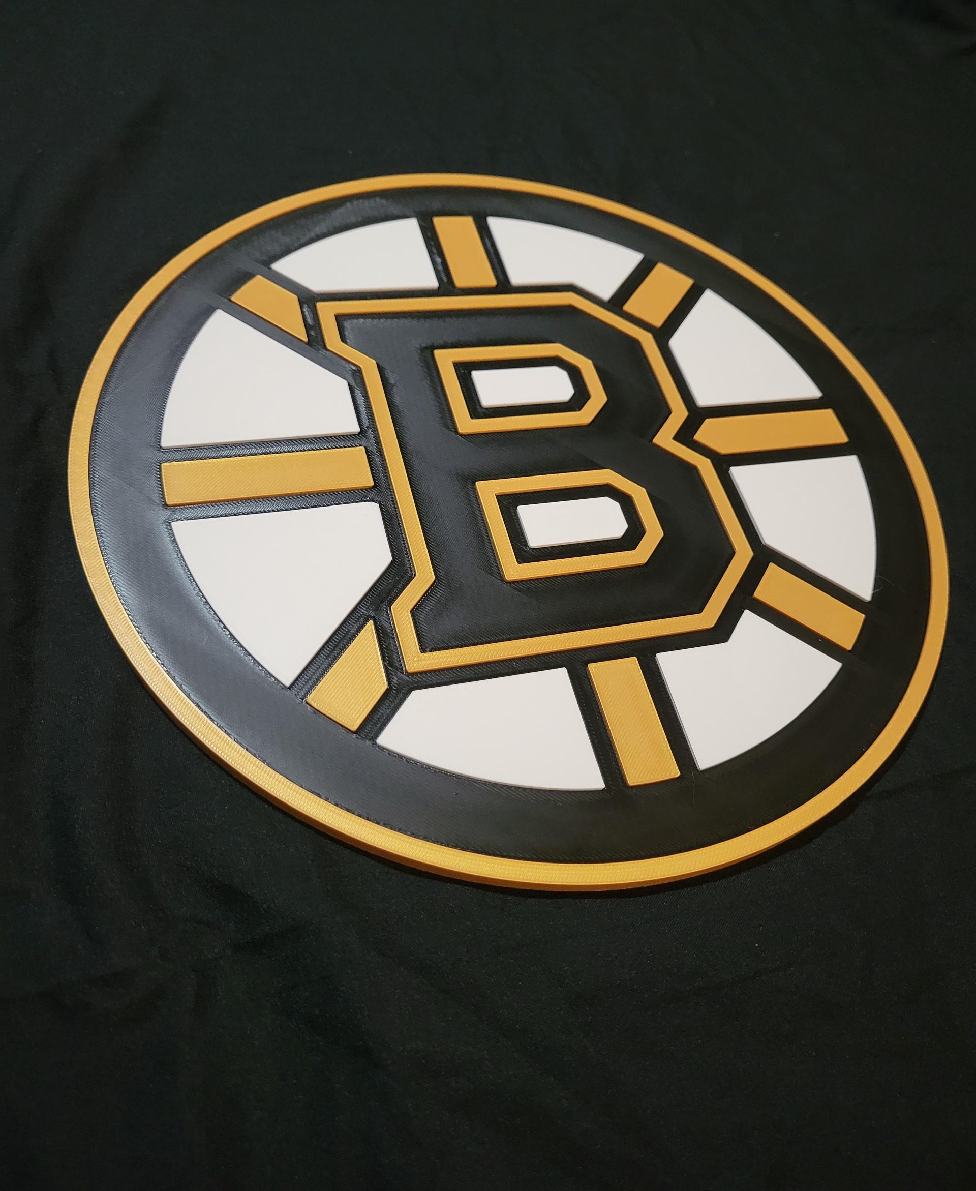 Boston Bruins 3d model