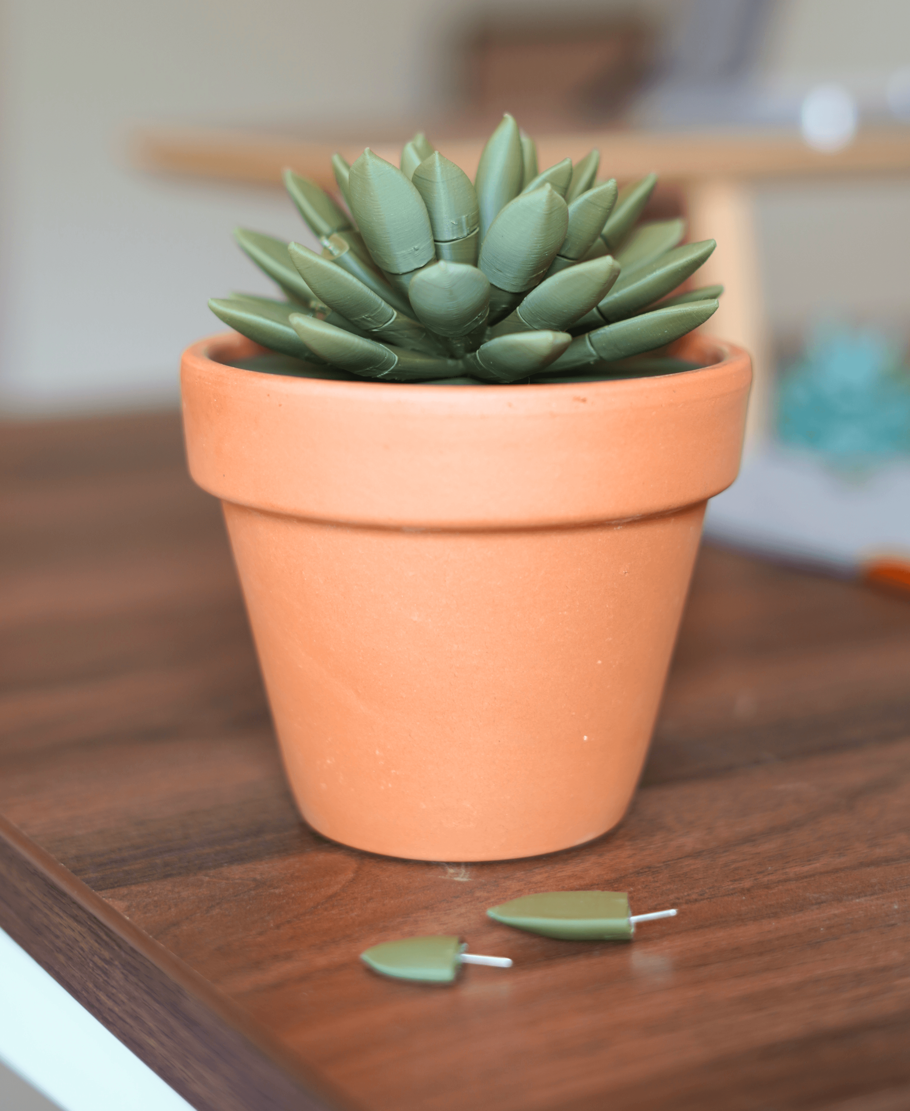 Push Pin Succulent 3d model