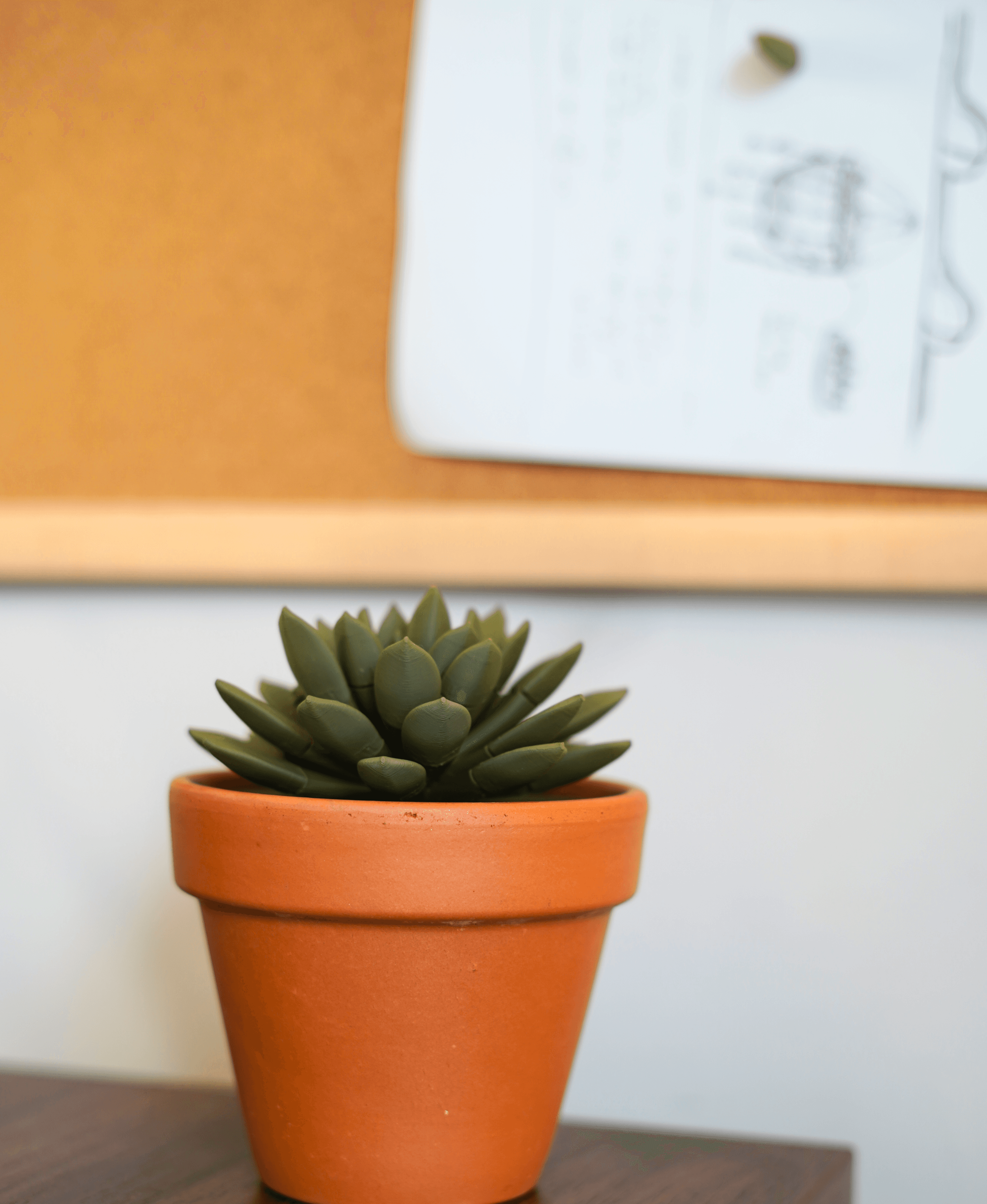 Push Pin Succulent 3d model