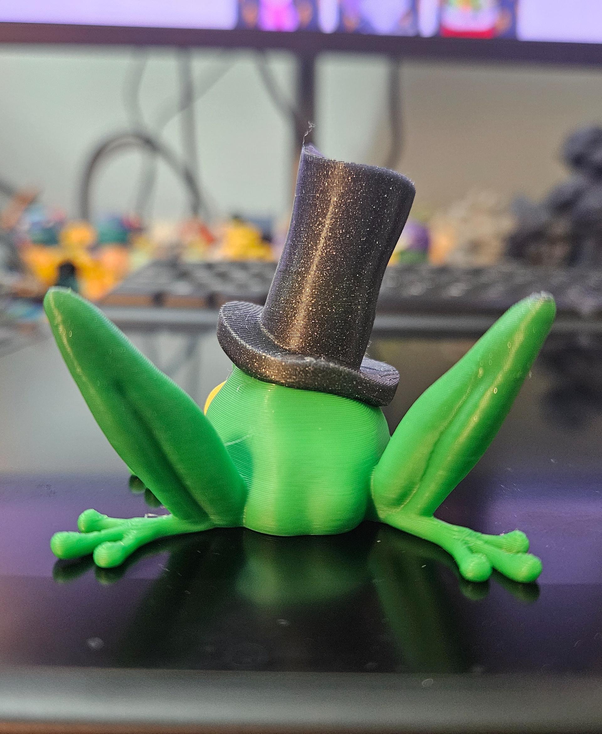 Not a Singing Frog 3d model