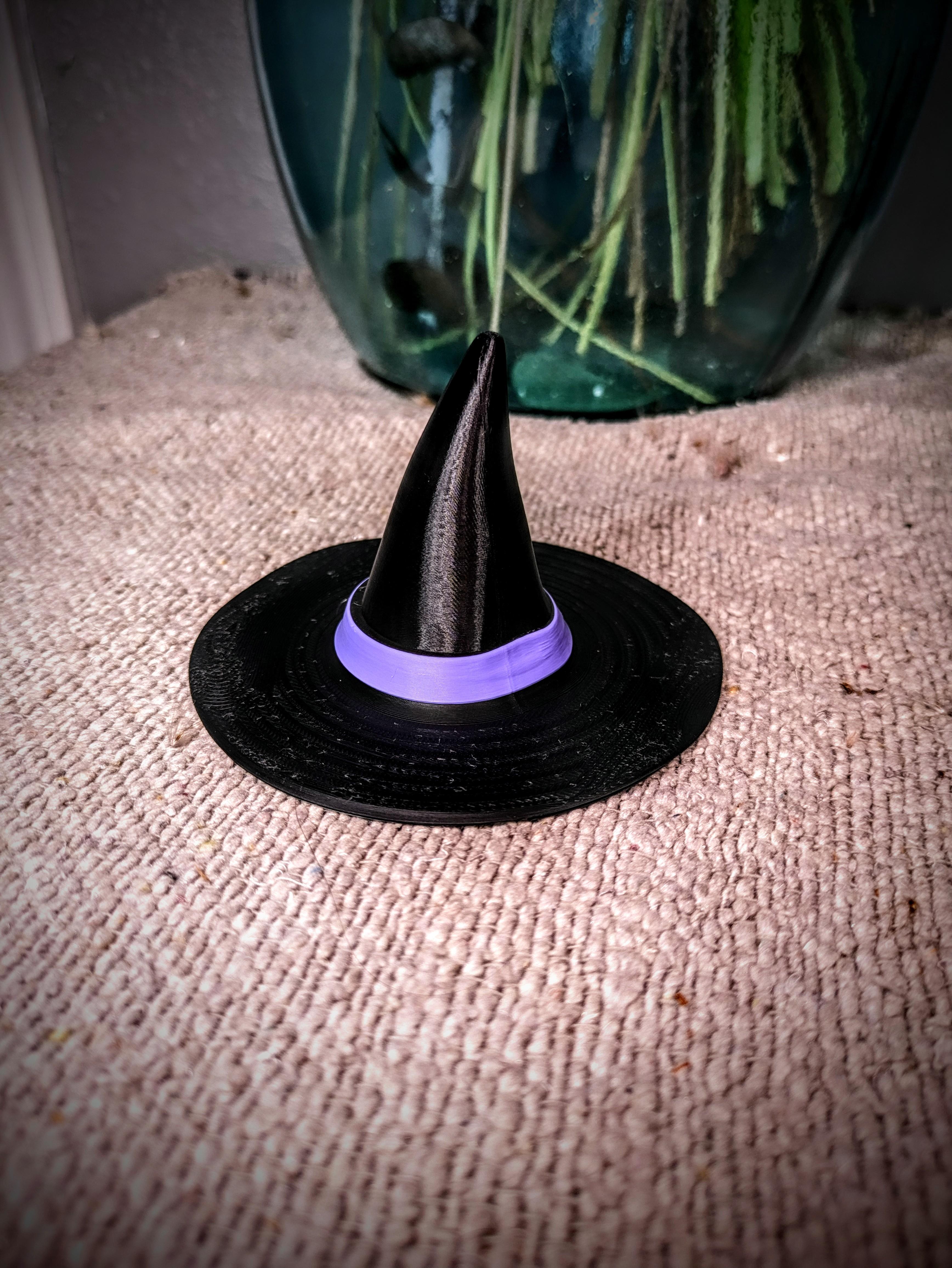 Witch's Hat 3d model