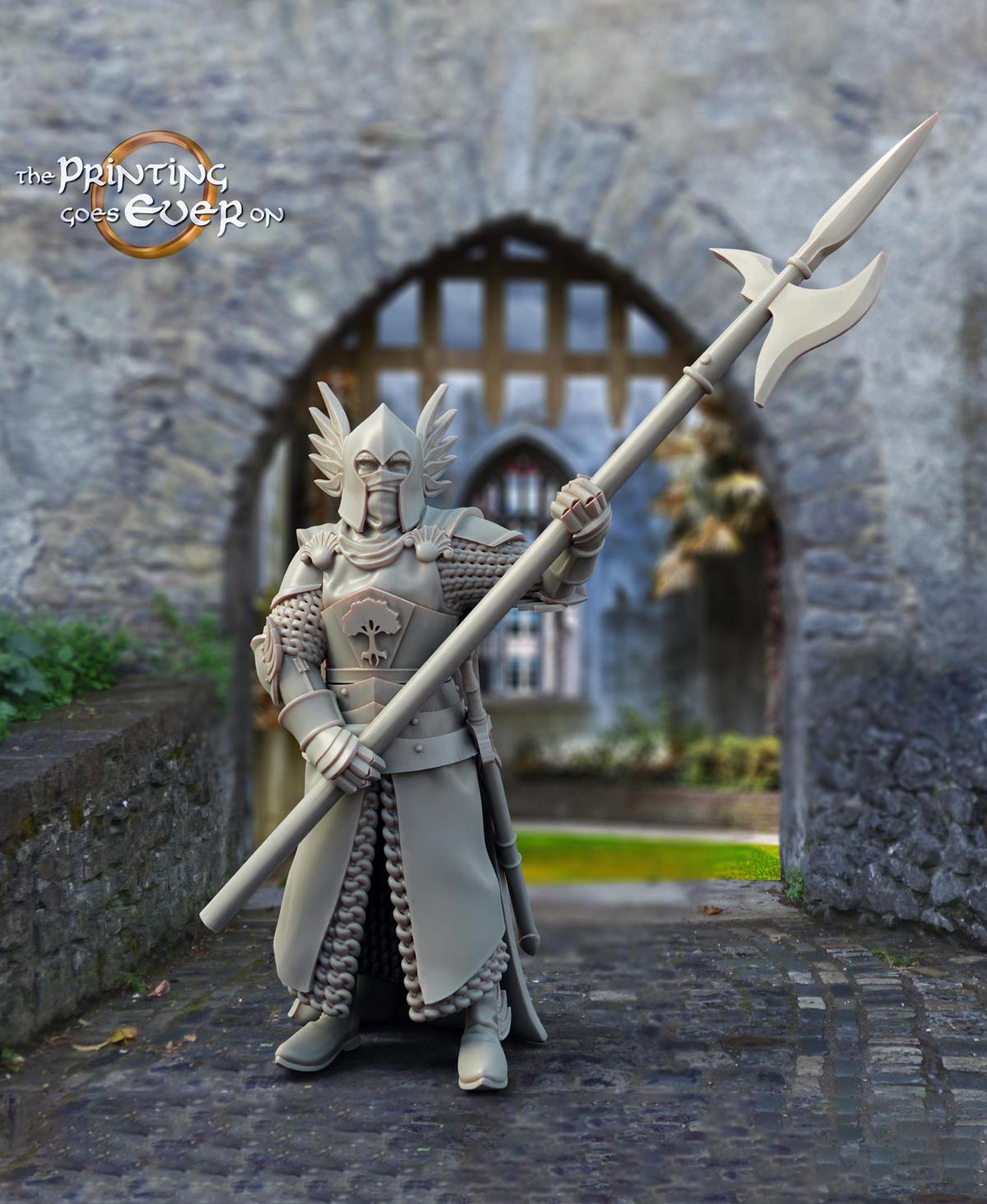 King's Guard - Pose B 3d model