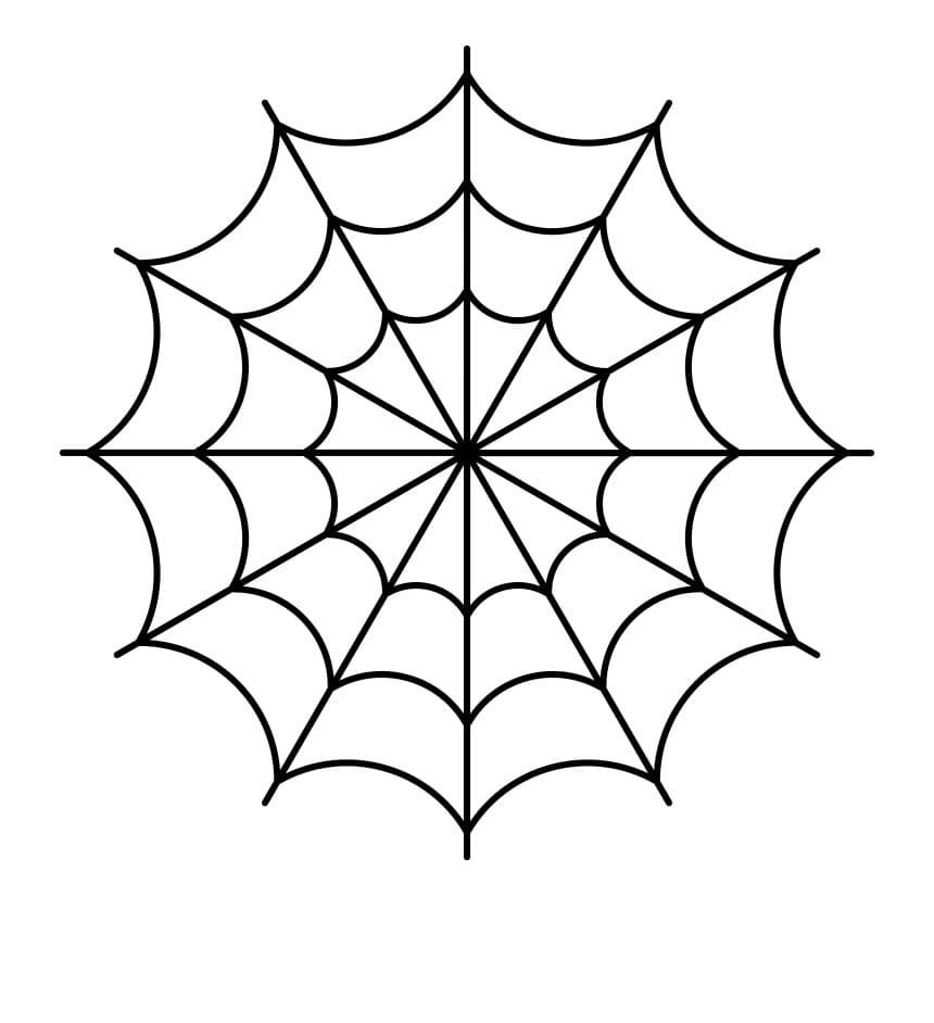 Spiderweb 3d model