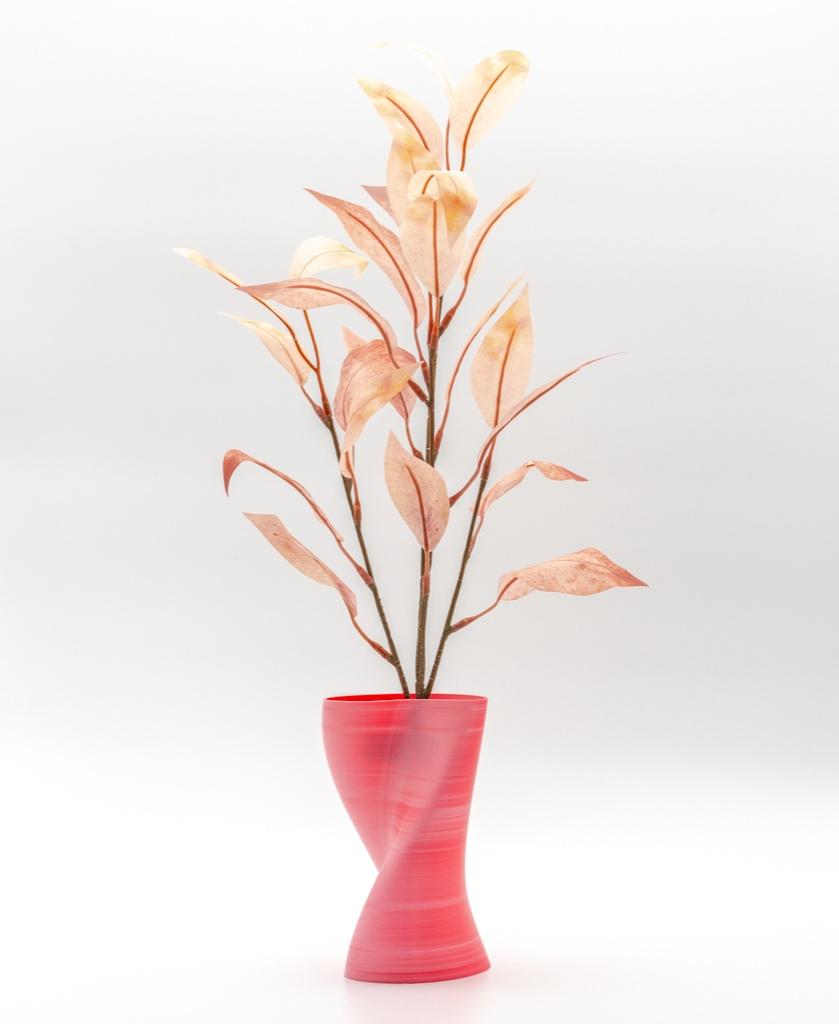 Organic Vase 3d model