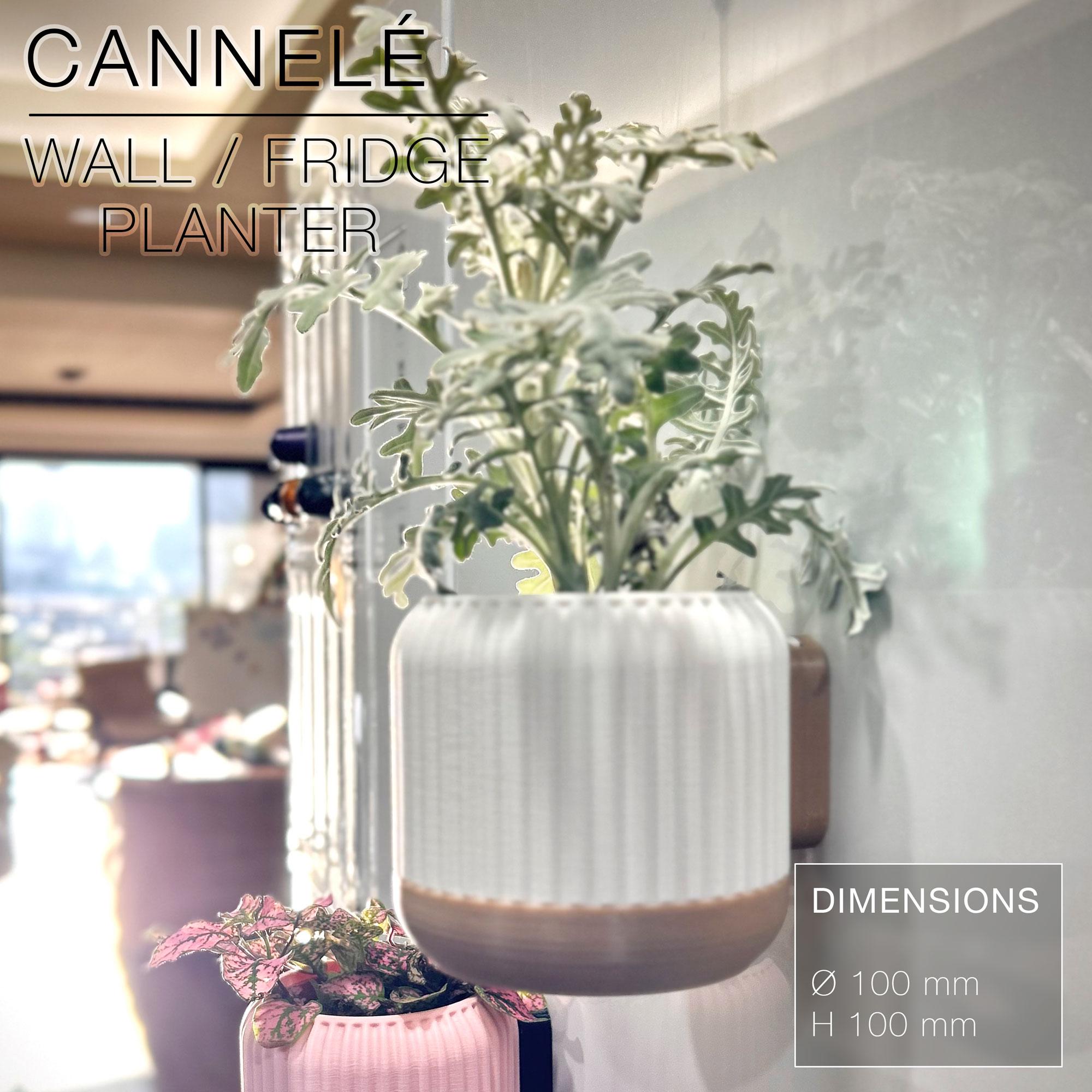 CANNELÉ | Wall/fridge Planter 3d model