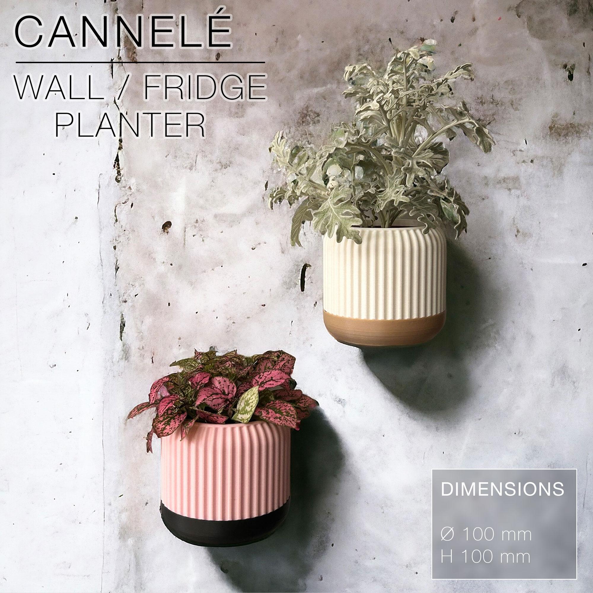 CANNELÉ | Wall/fridge Planter 3d model