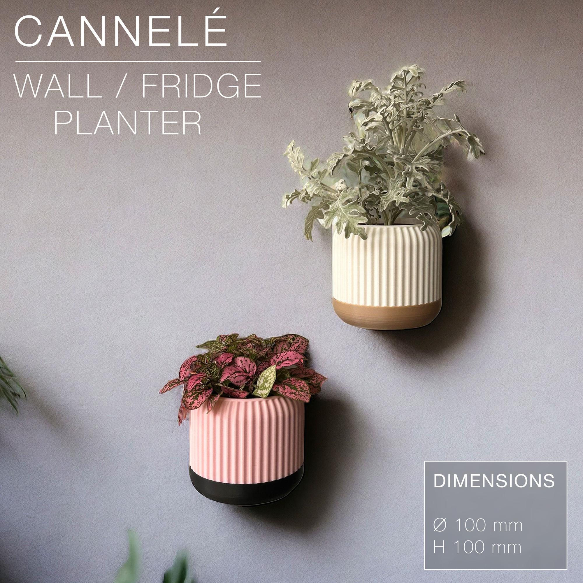 CANNELÉ | Wall/fridge Planter 3d model