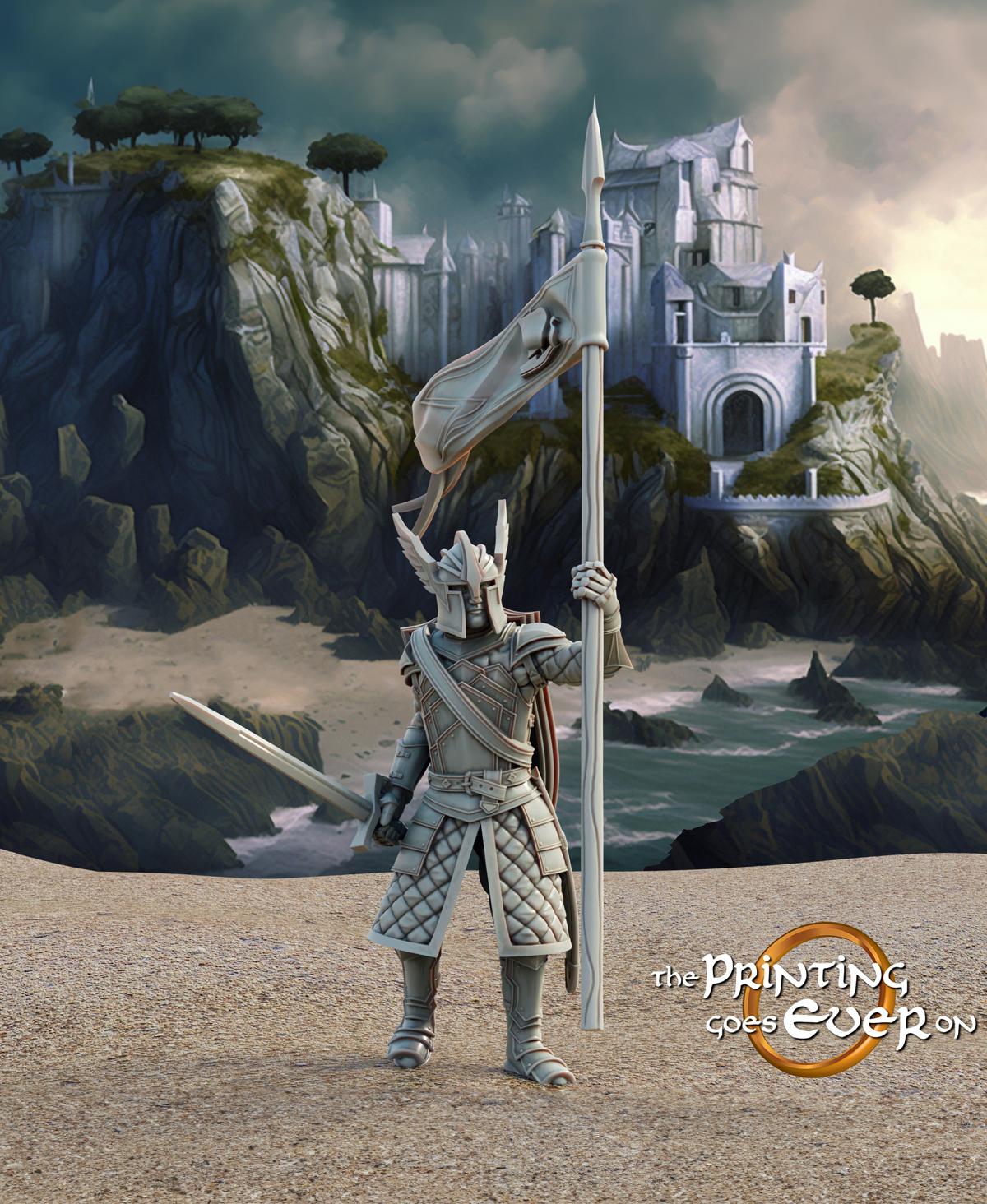 Swan Knight - On Foot - Banner Bearer 3d model