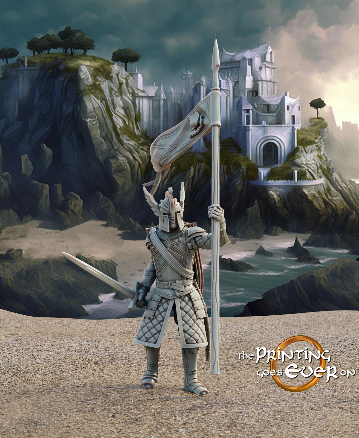 Swan Knight - On Foot - Banner Bearer 3d model