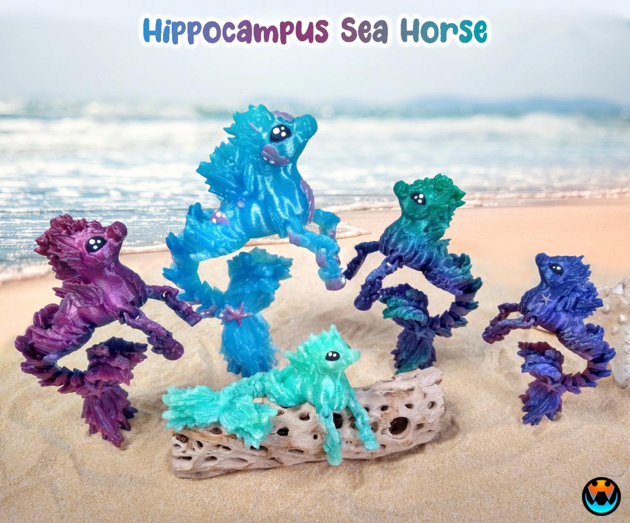 Hippocampus 3d model