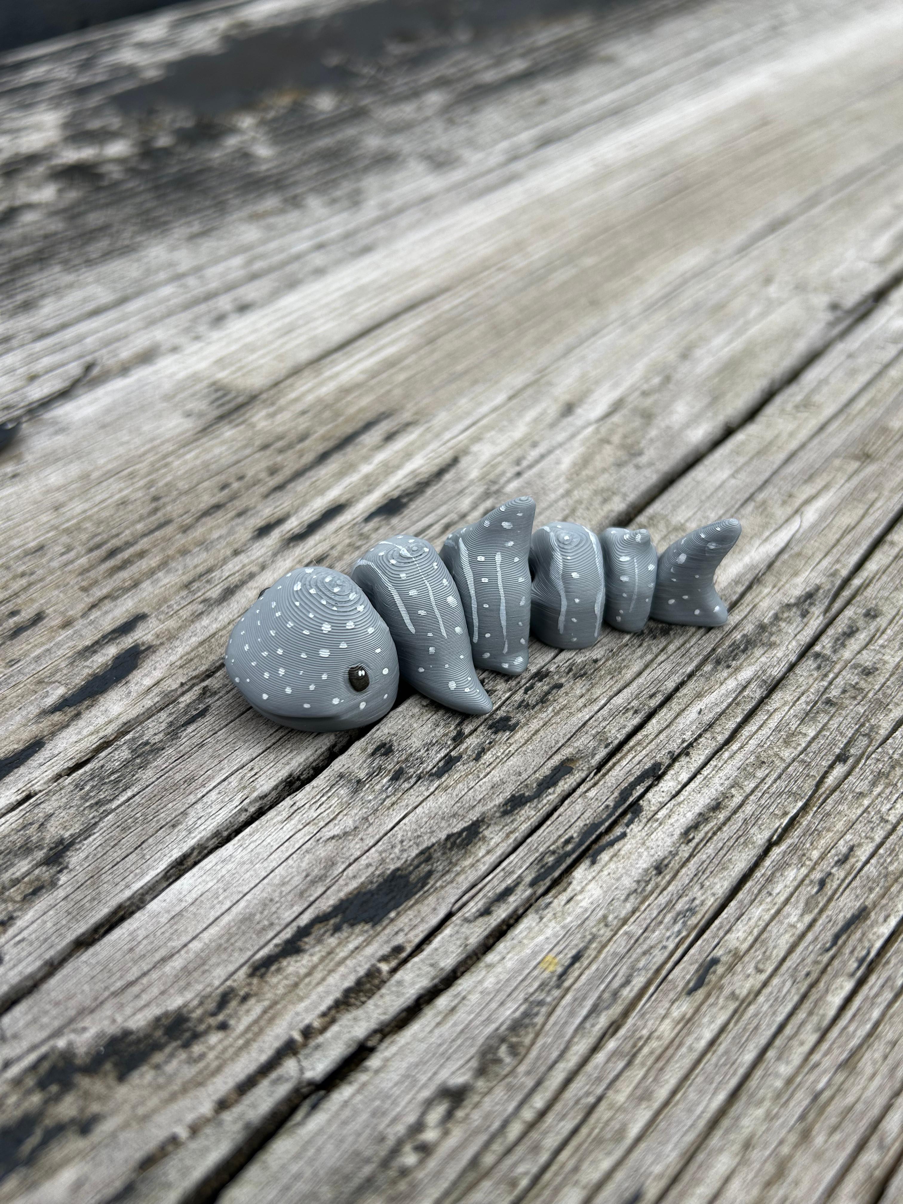 Whale Shark Fidget 3d model