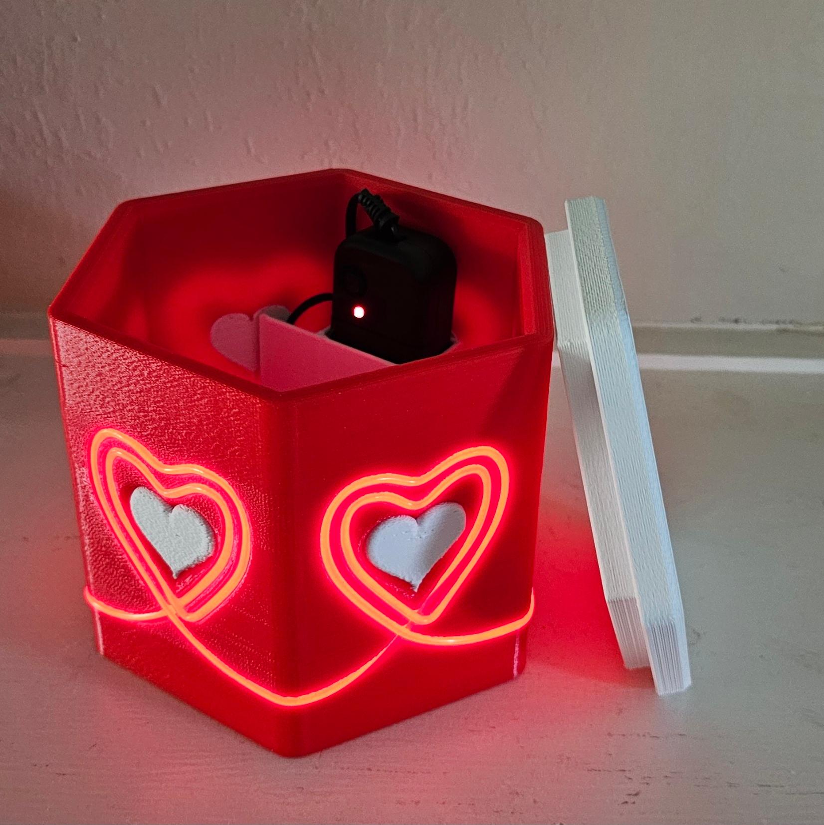 EL Wire Hearts Container 3d model