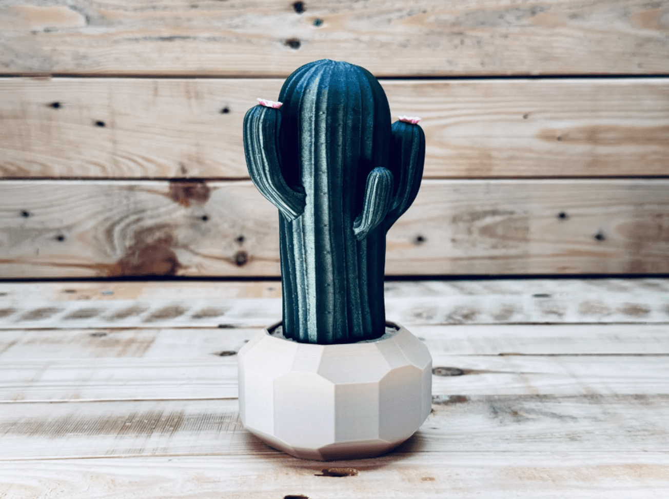 Faux Cactus Ornament 3d model