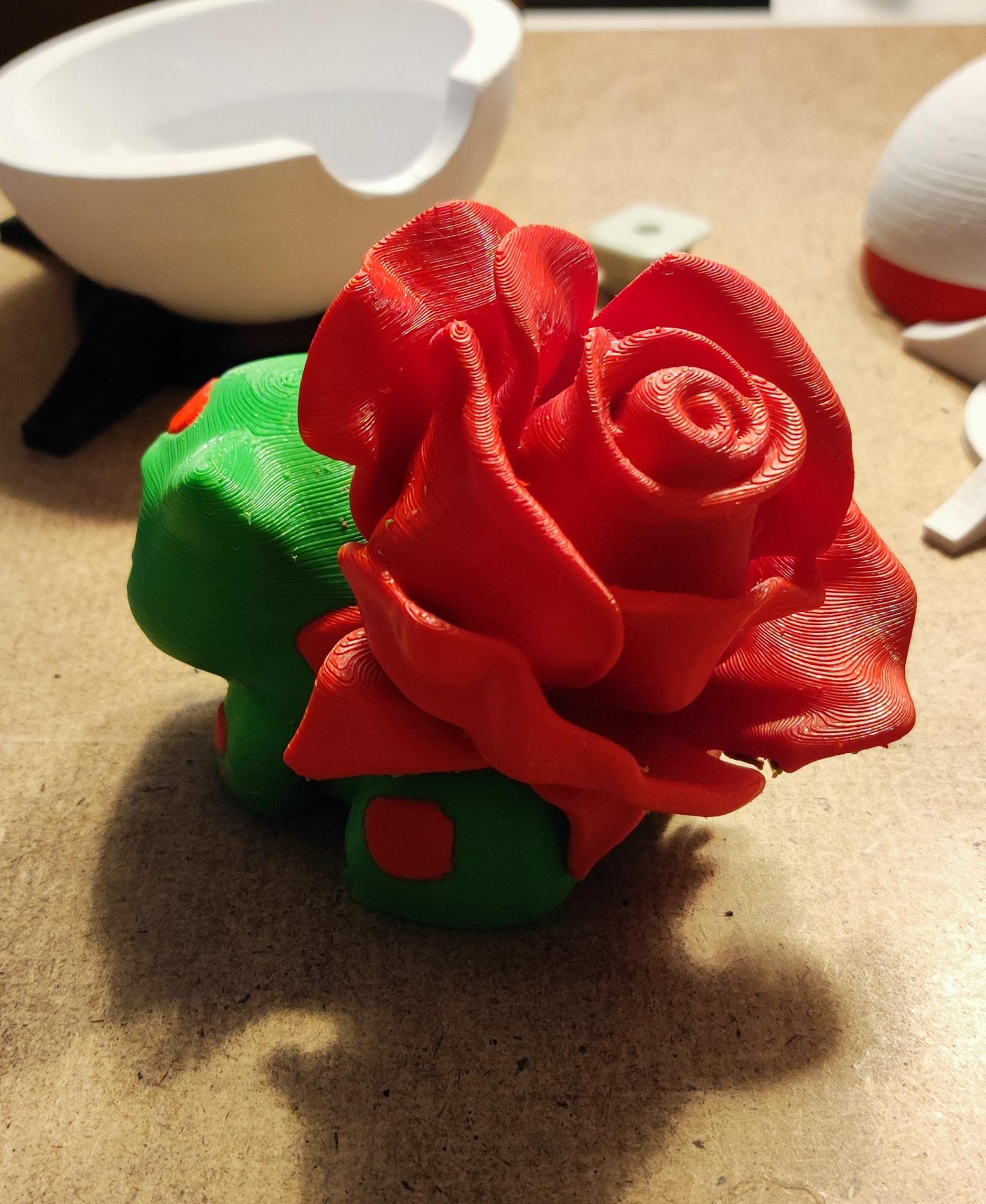 Rose Bulbasaur - Printed on Sovol SV02 with Material4Print PLA Red&Green - 3d model