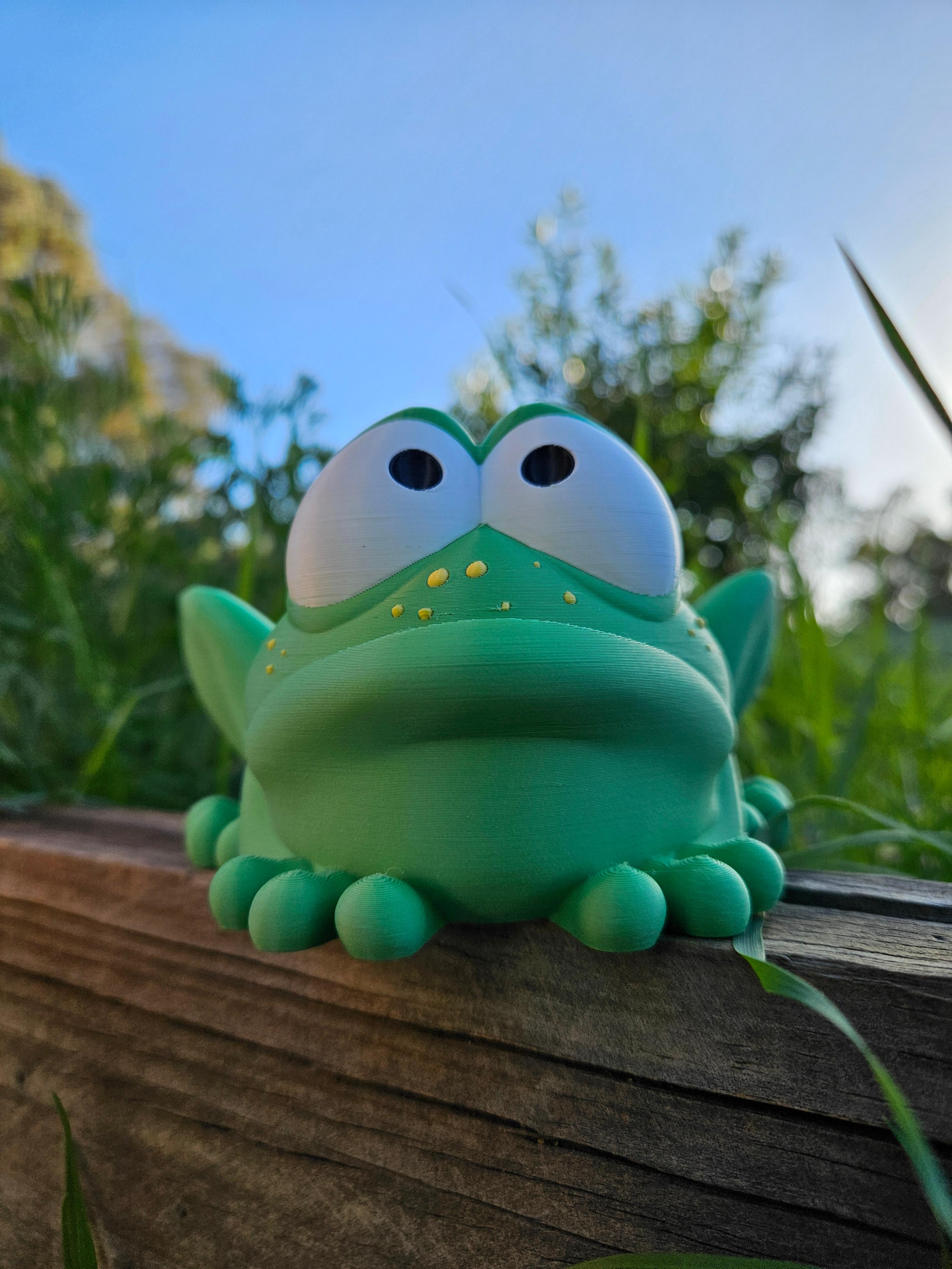 Hop - The First Frog 3d model