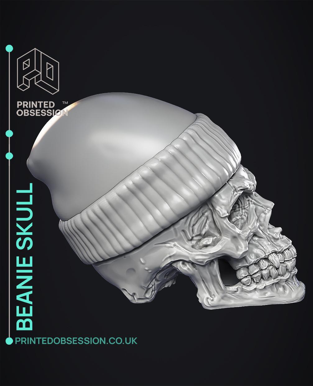 Skull in Beanie - Home Decor 3d model