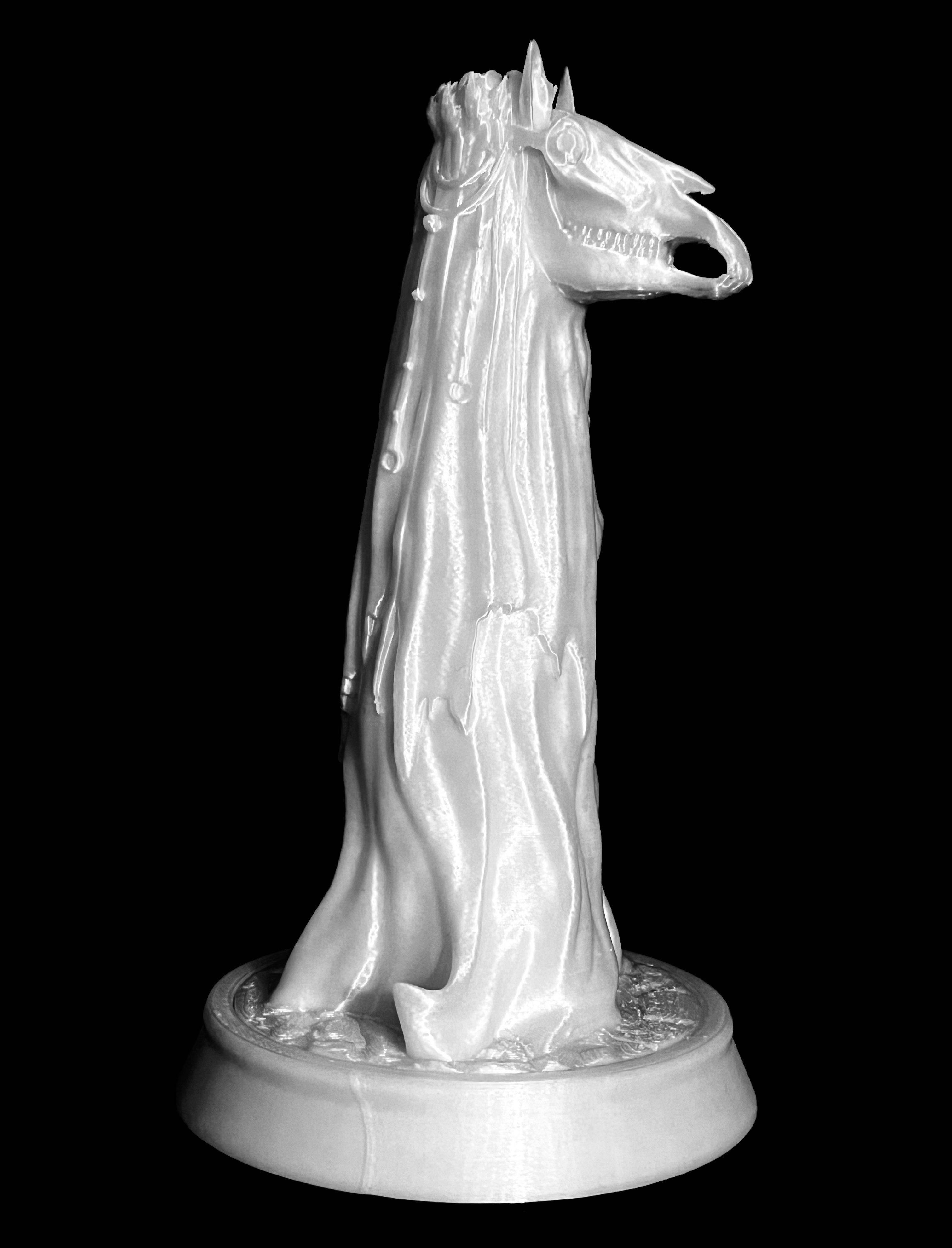 Mari Lwyd (Pre-Supported) 3d model