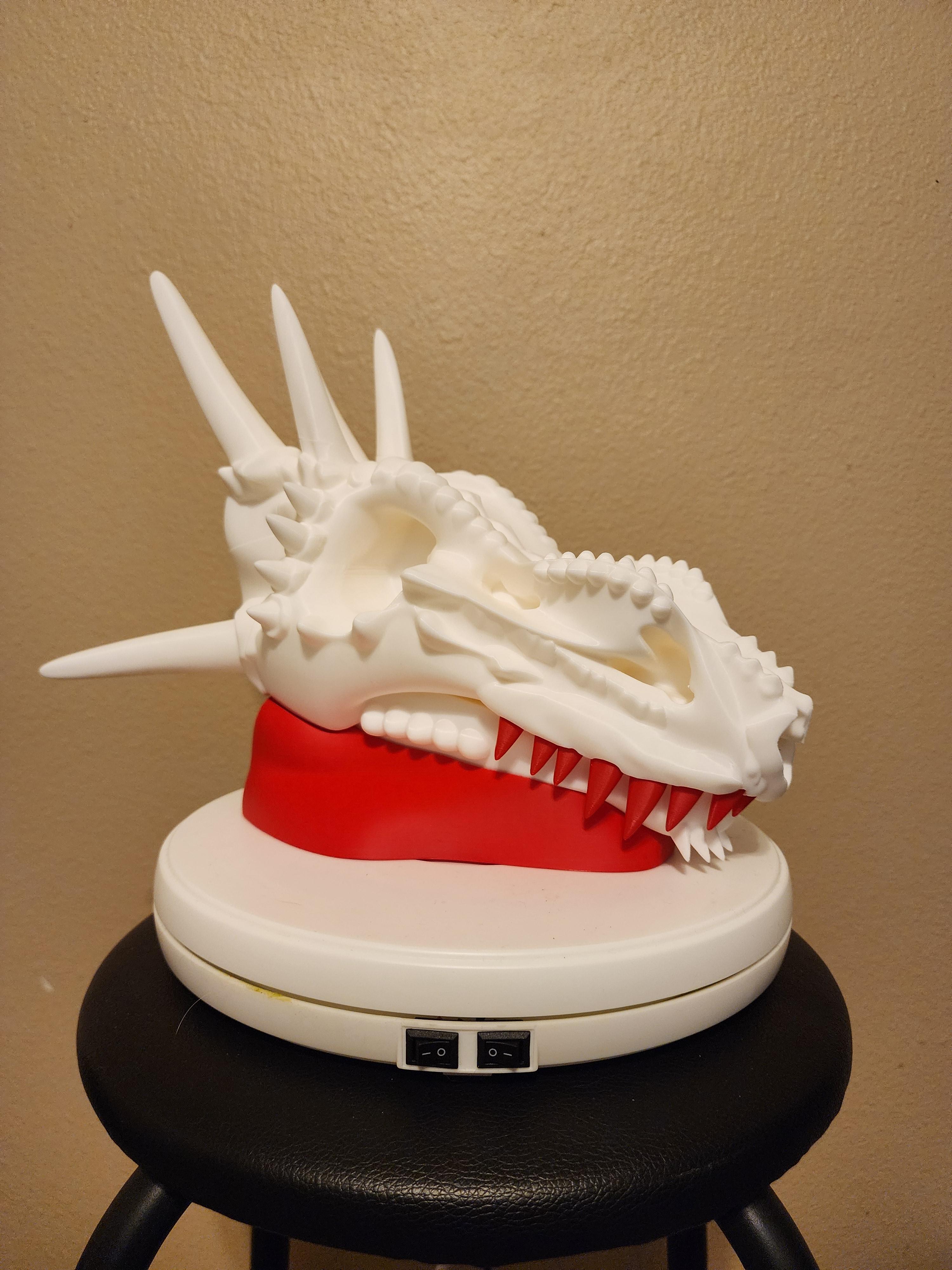 Wicked Dragon Skull With Base 3d model