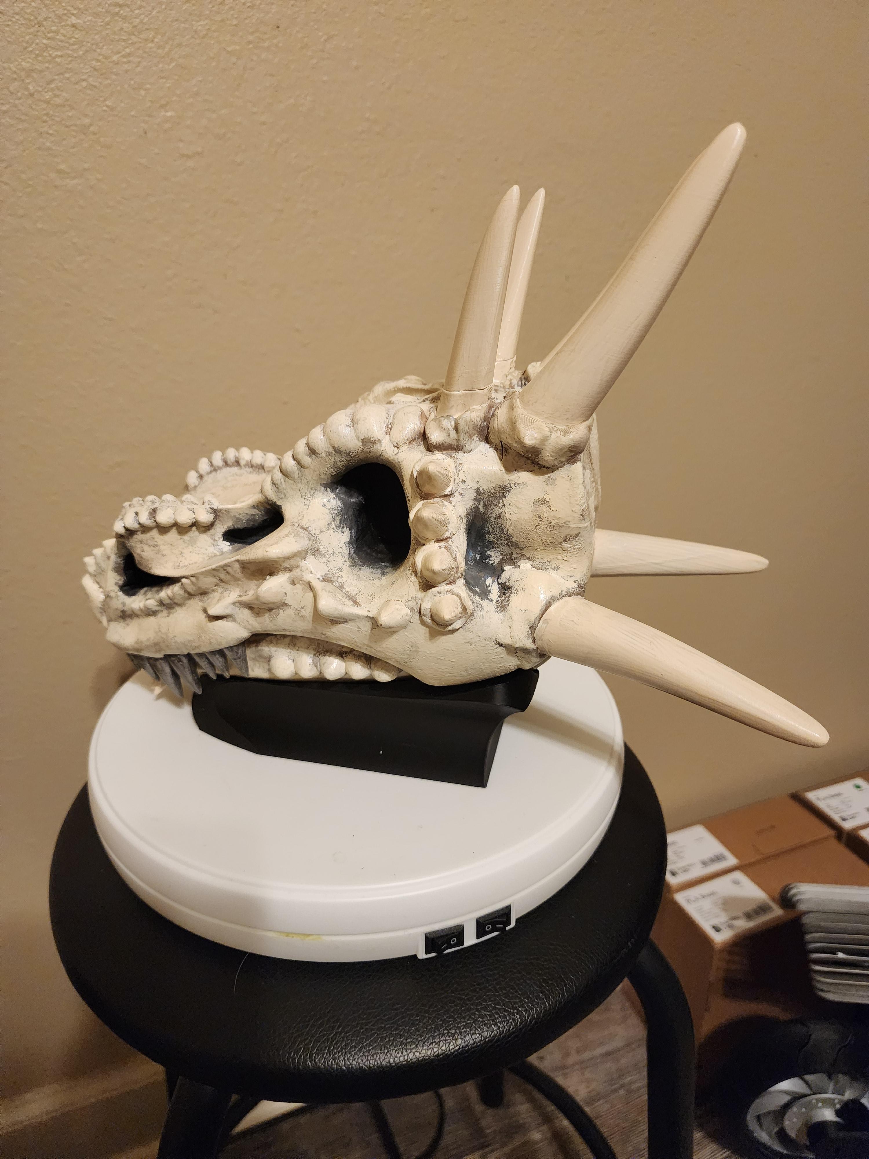 Wicked Dragon Skull With Base 3d model