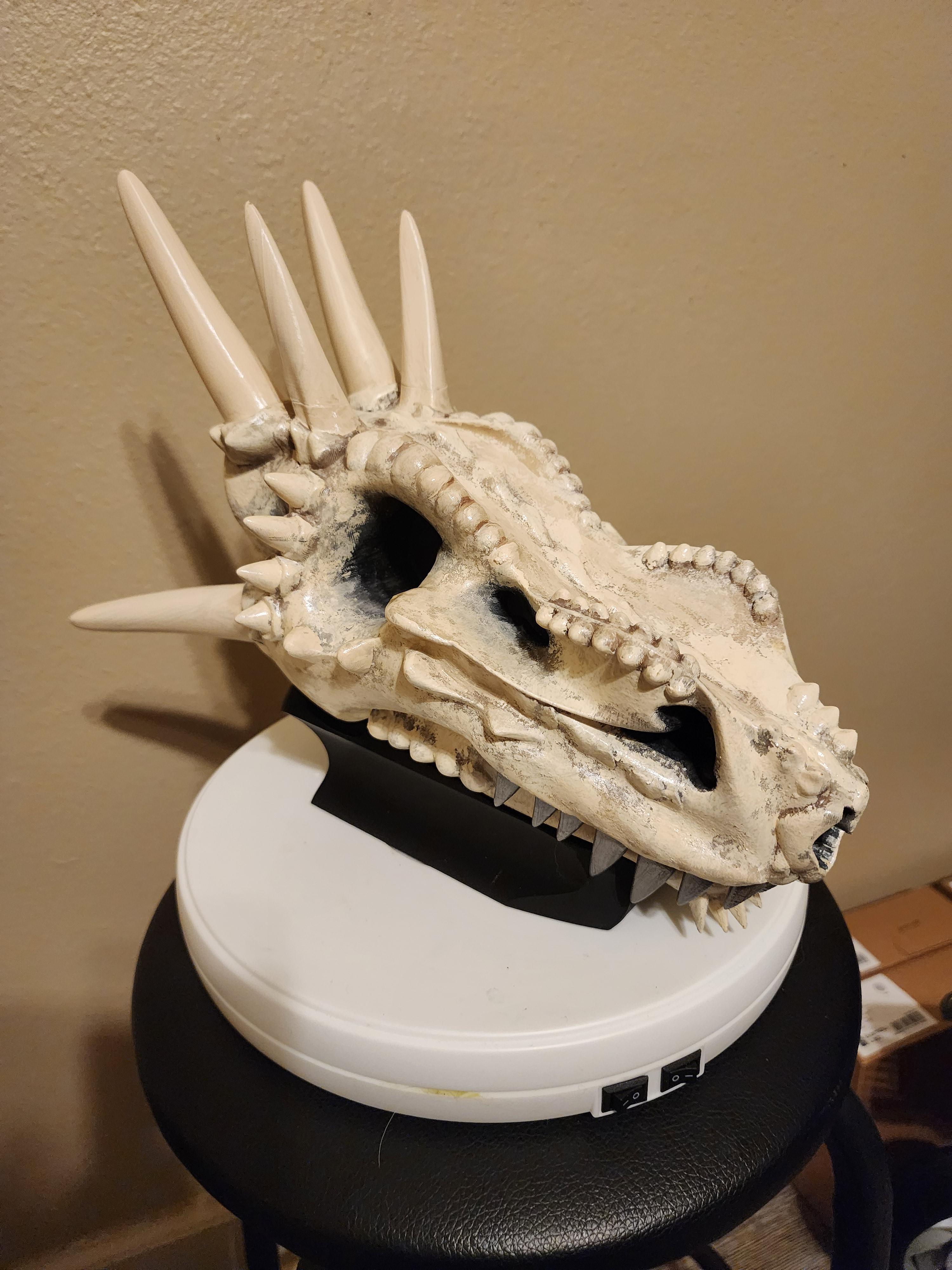 Wicked Dragon Skull With Base 3d model