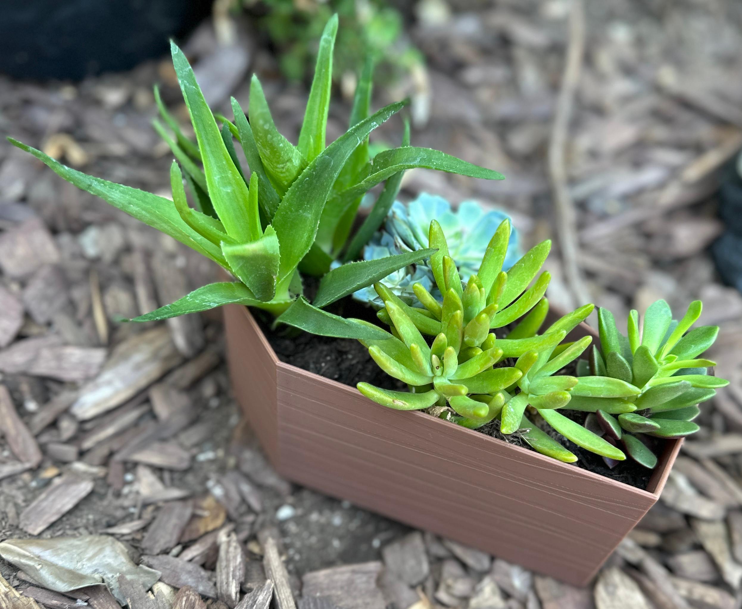 coffin succulent planter with wood texture.stl 3d model