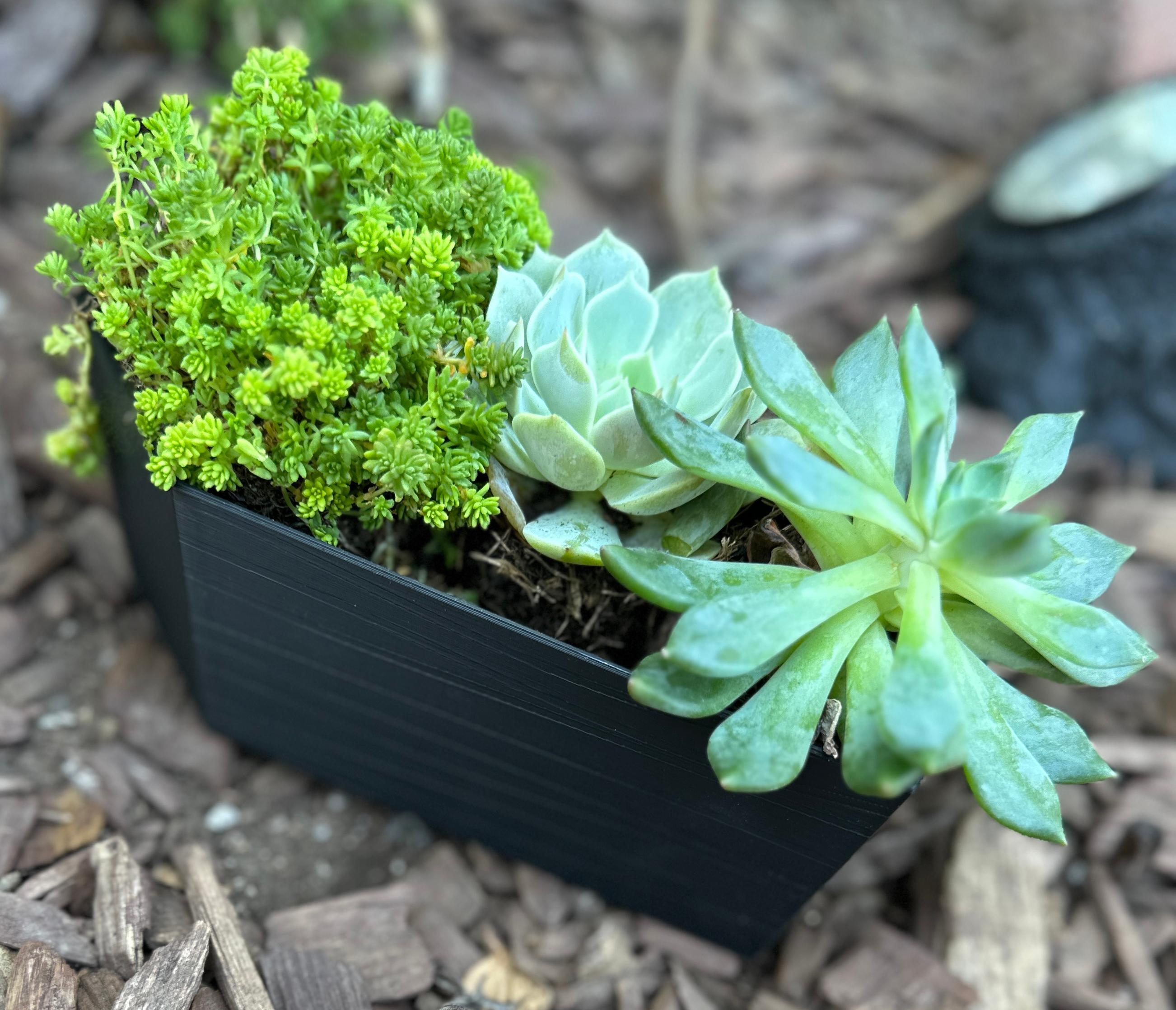 coffin succulent planter with wood texture.stl 3d model