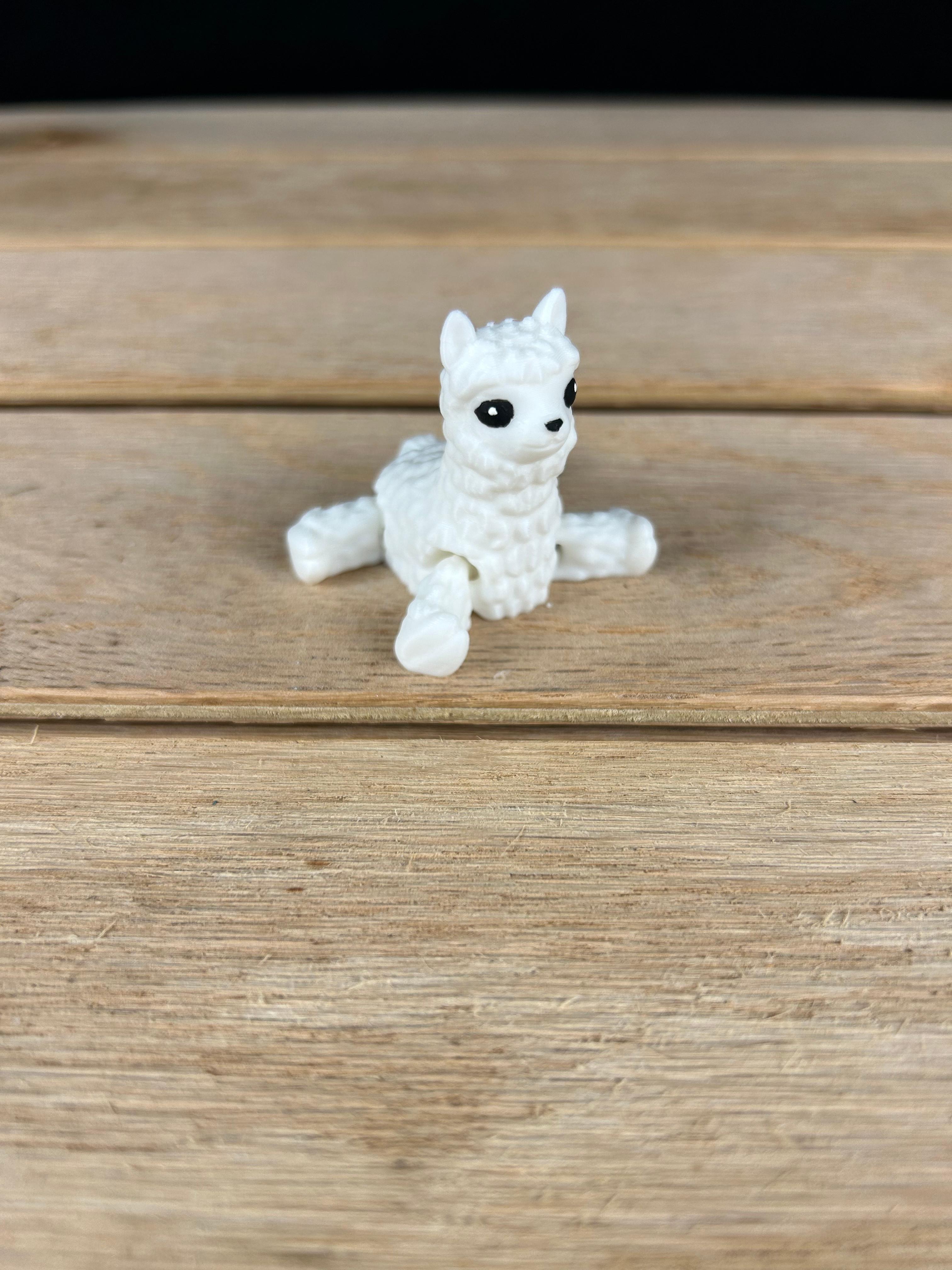 Alpaca Fidget 3d model