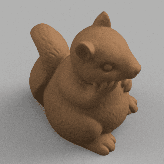 SQUIRREL 3d model